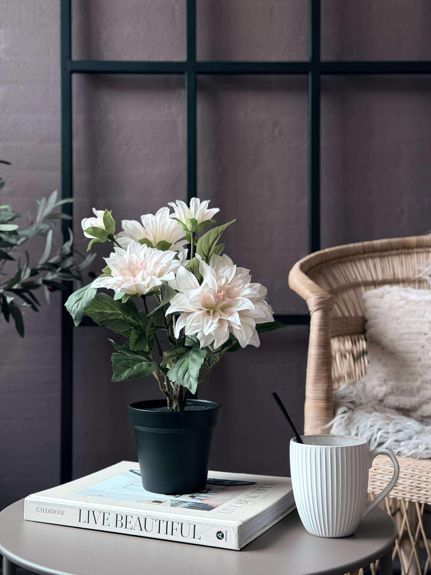 Dahlia i kruka - Vit