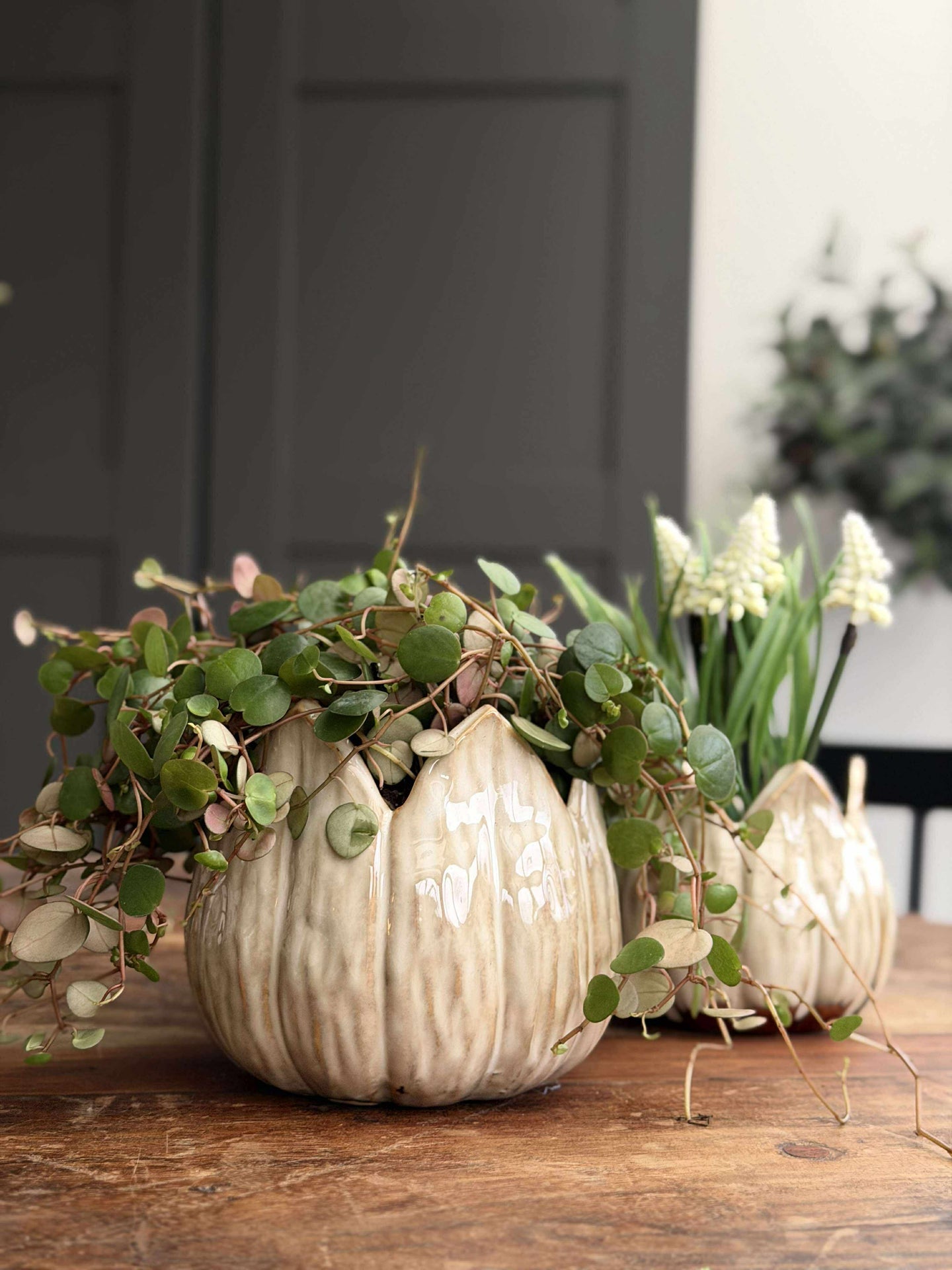 Krukor TULIP beige - Flera storlekar