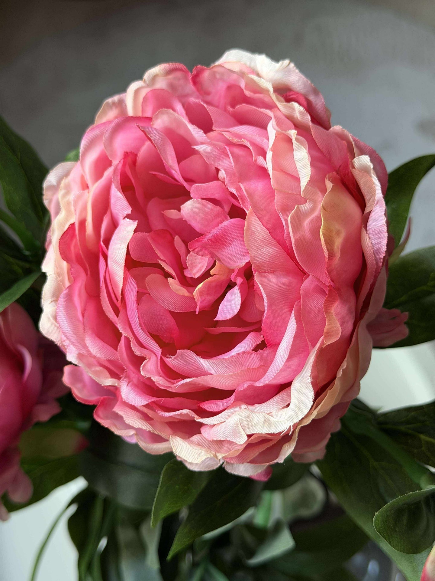 Pion 60 cm - Flera färger