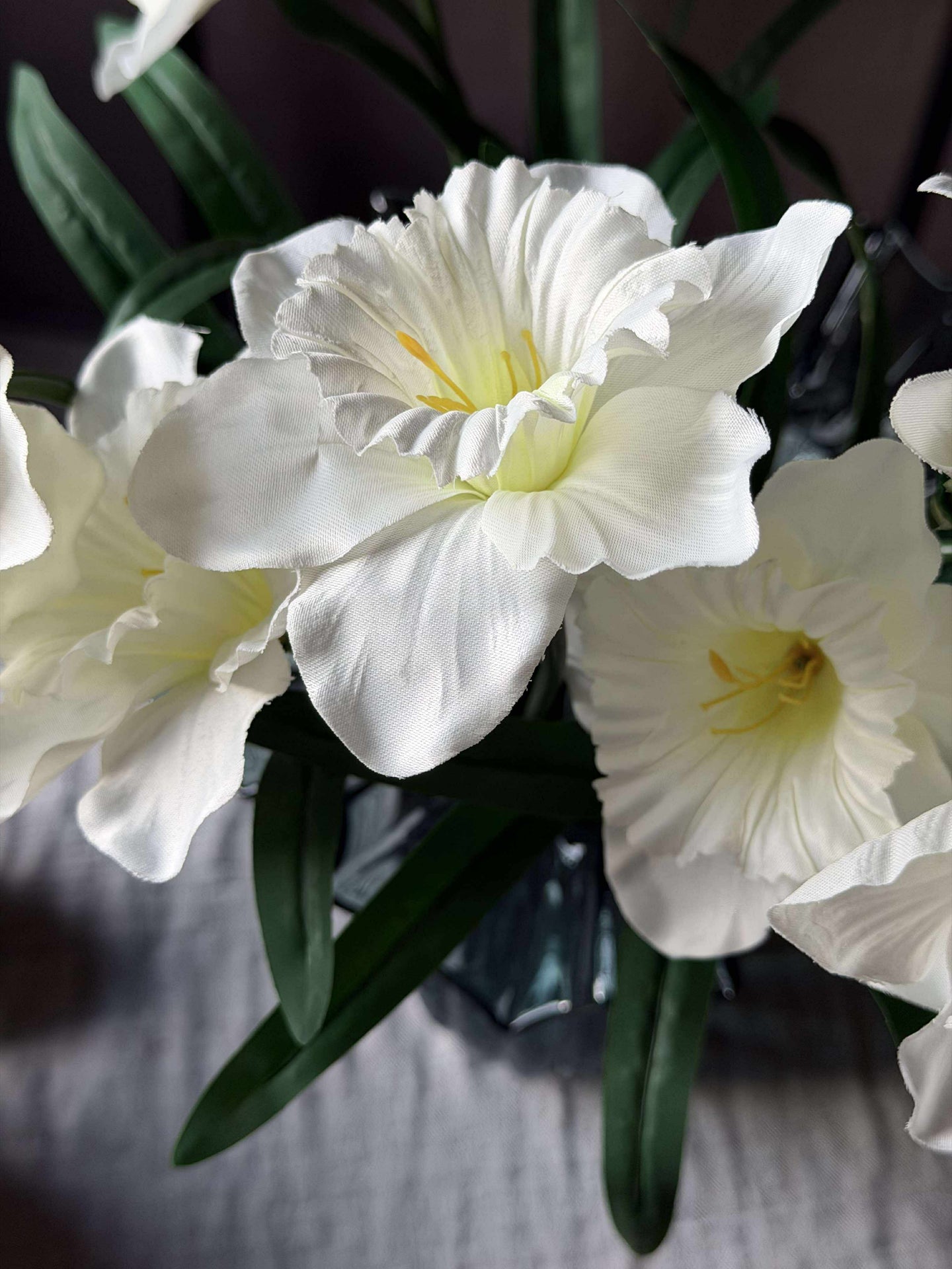 Påskliljestjälk - Vit