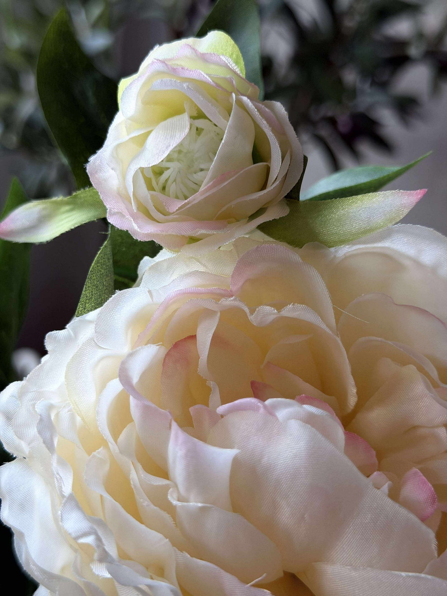 Pion 60 cm - Flera färger