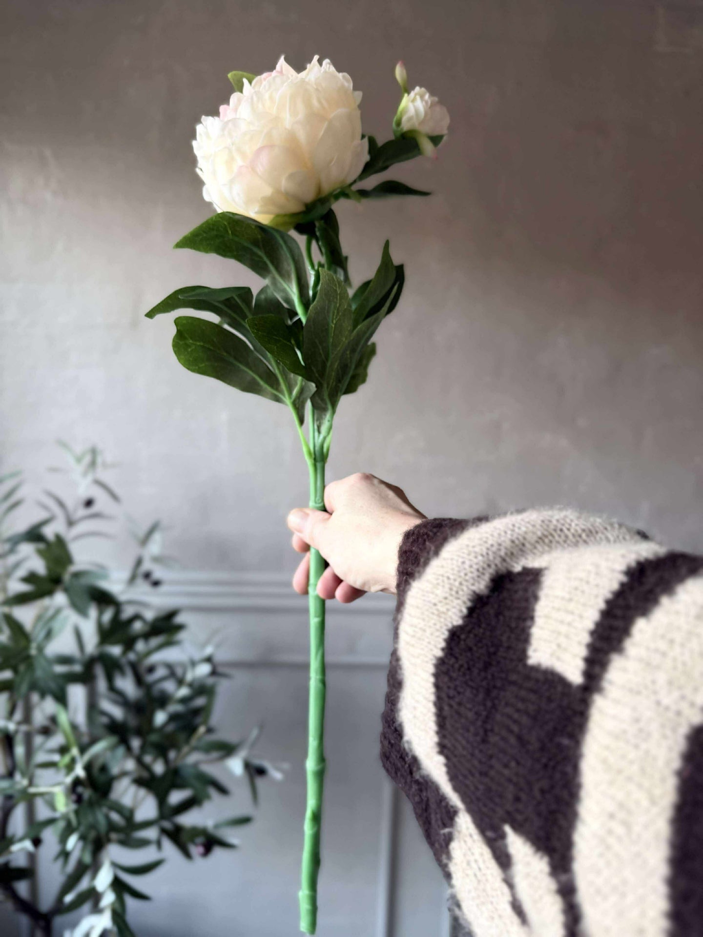 Pion 60 cm - Flera färger