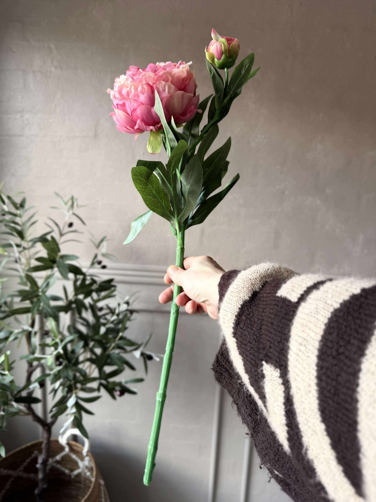 Pion 60 cm - Flera färger