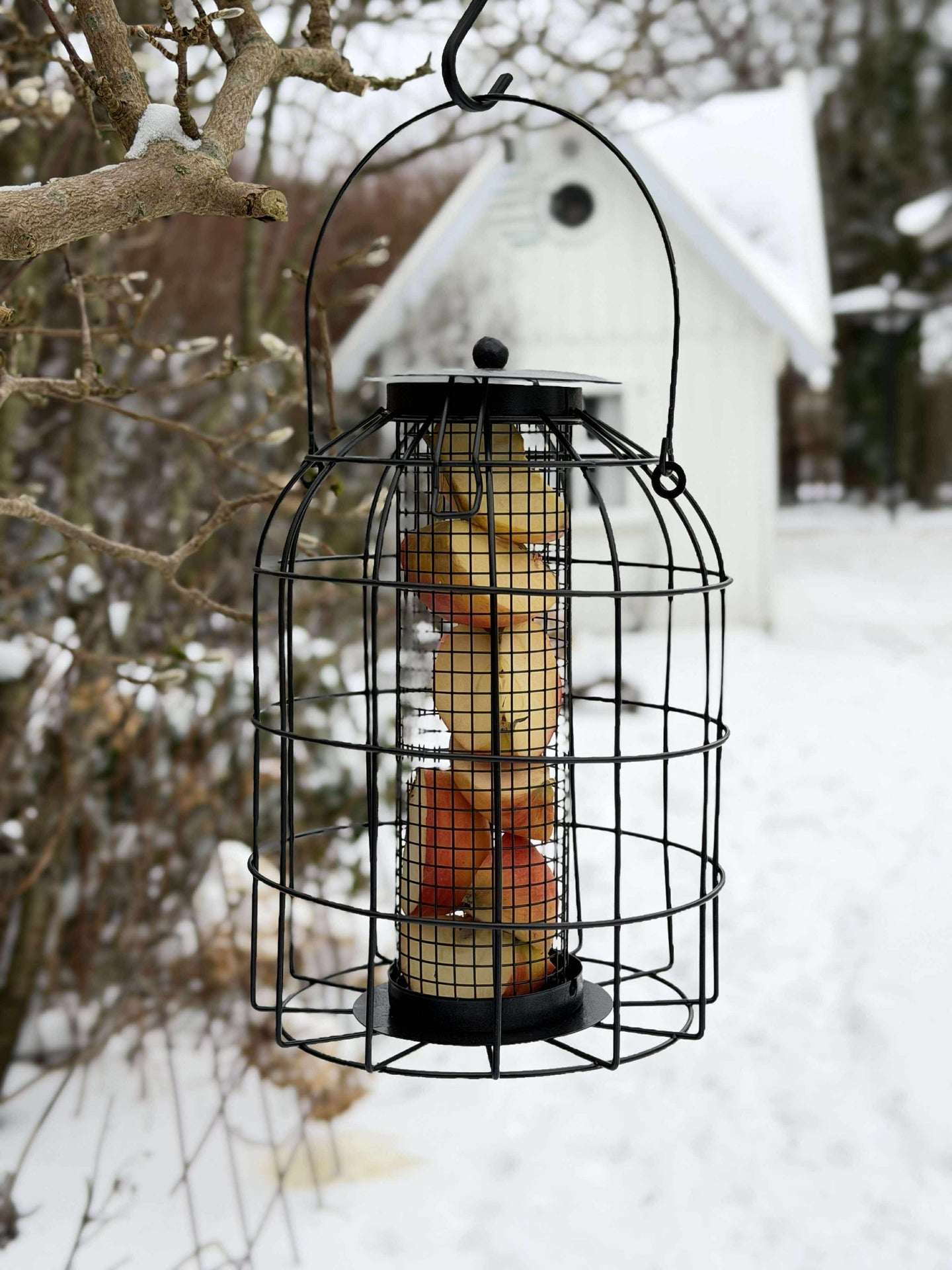 Hängare för fågelmat