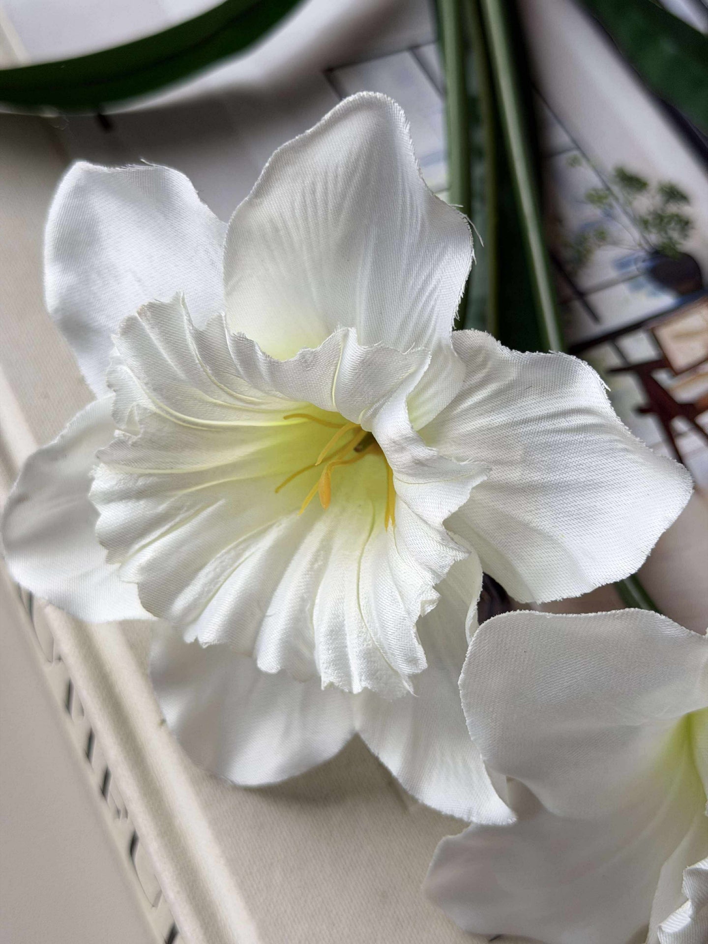 Påskliljestjälk - Vit