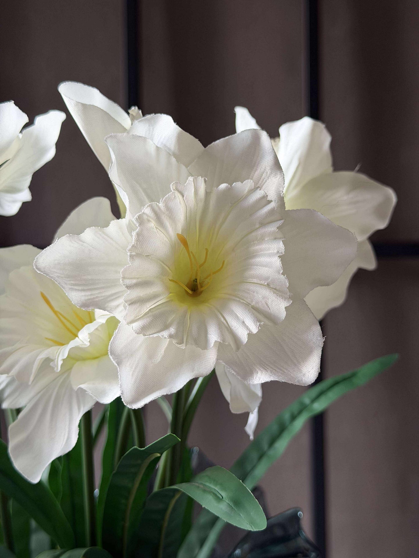 Påskliljestjälk - Vit