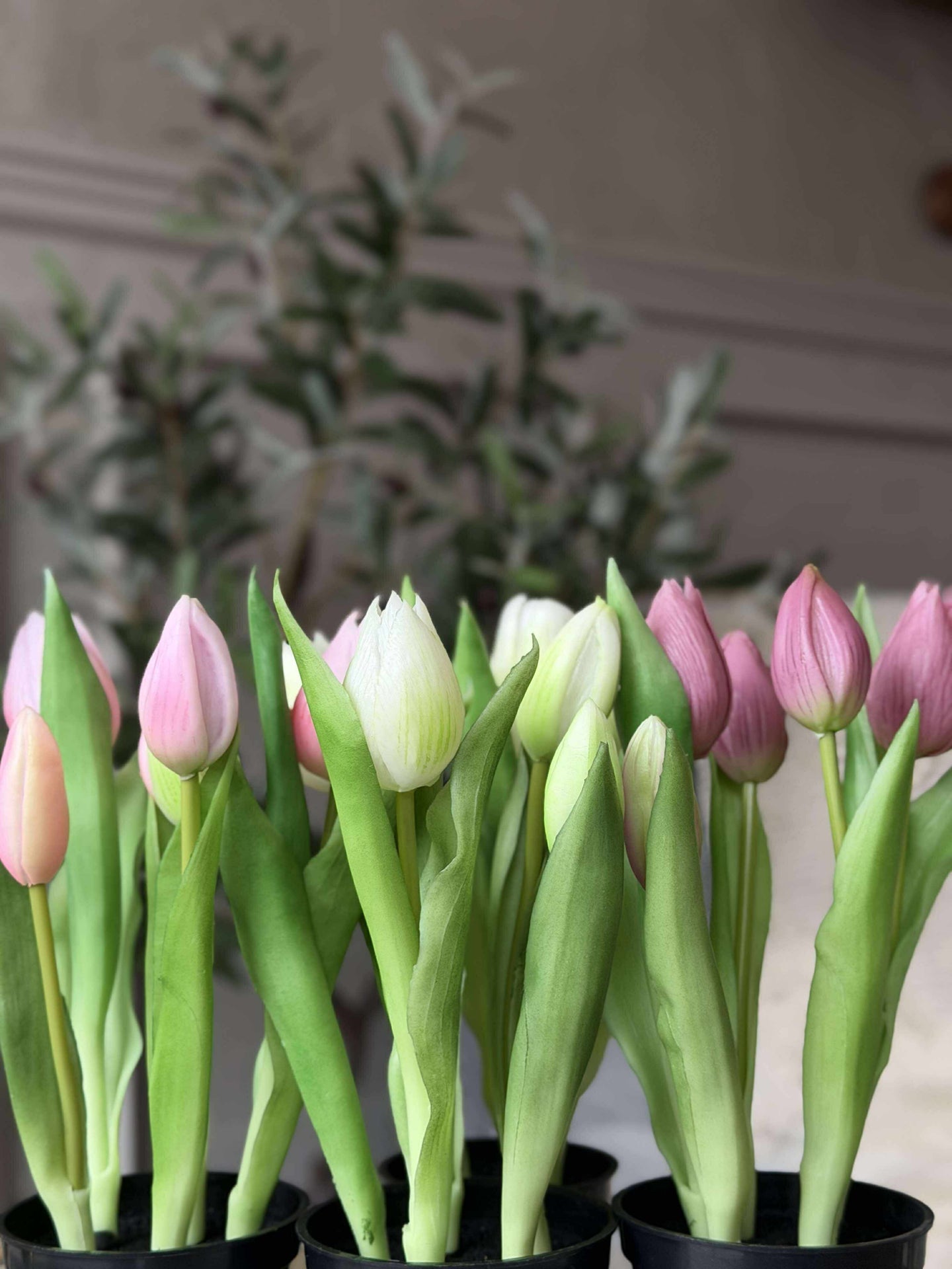 Tulpan i kruka - Vit med 3 blommor