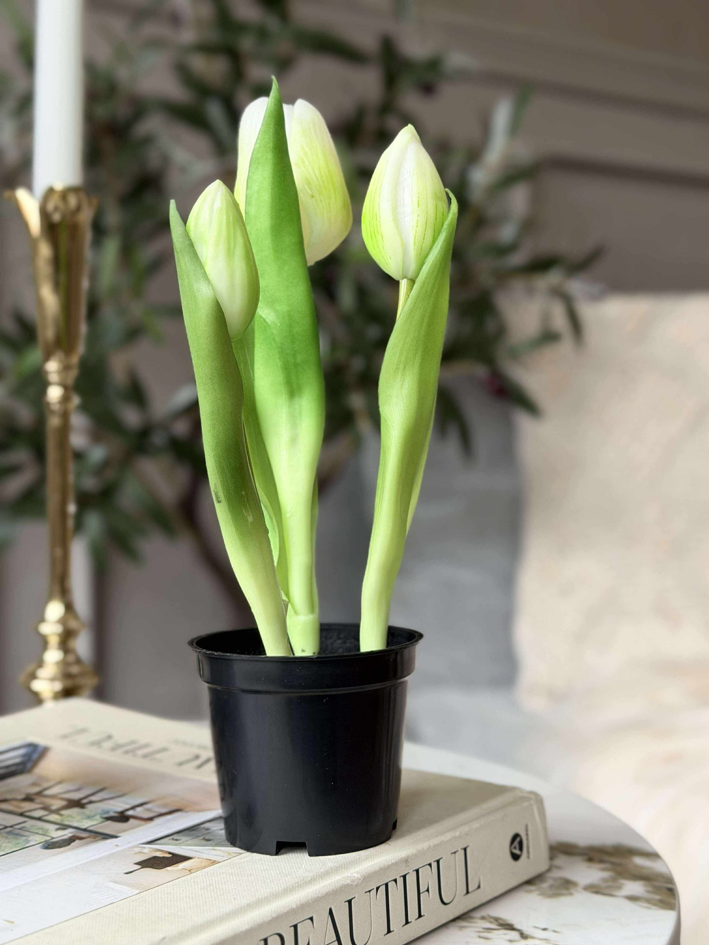 Tulpan i kruka - Vit med 3 blommor
