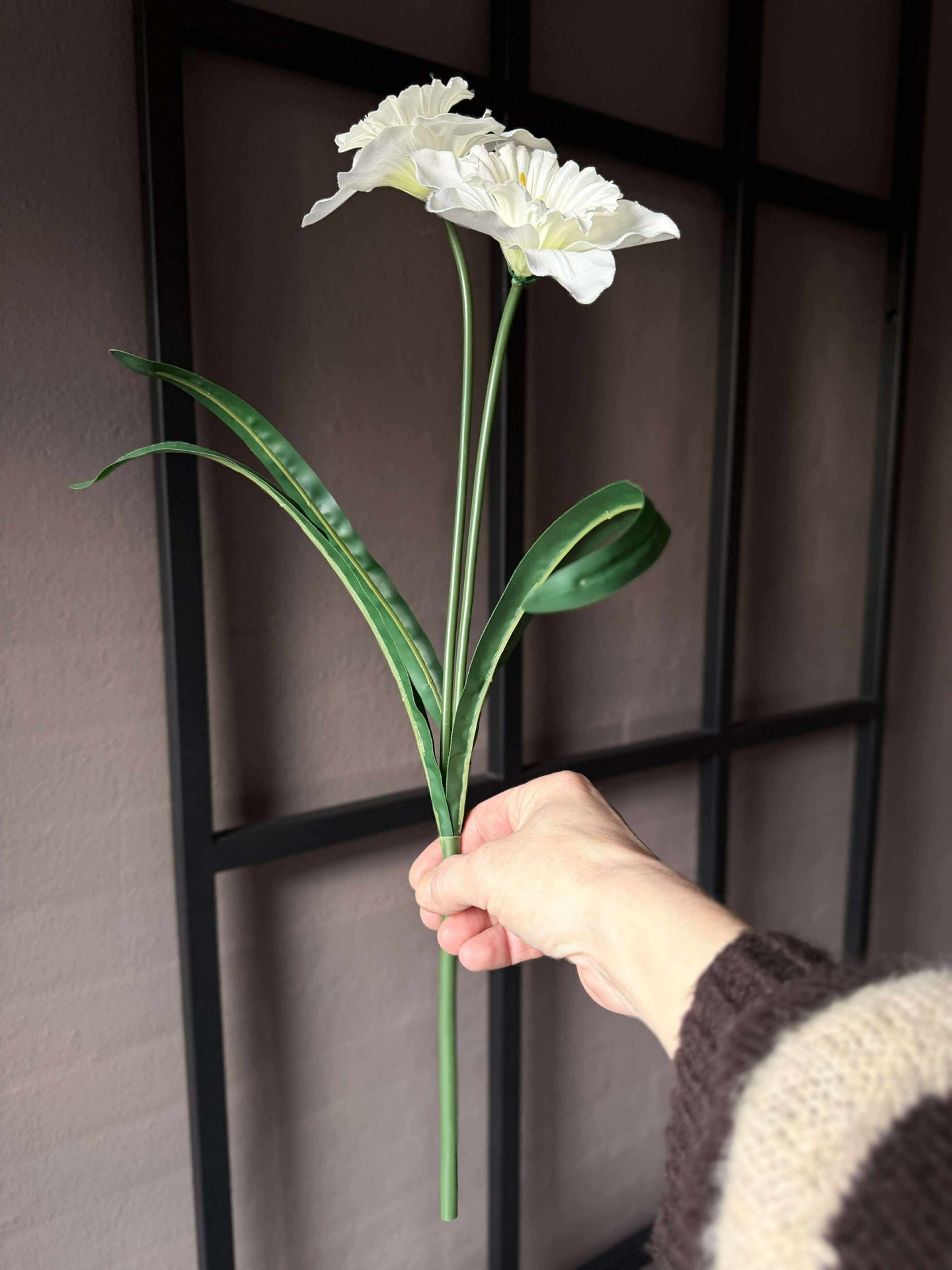 Påskliljestjälk - Vit