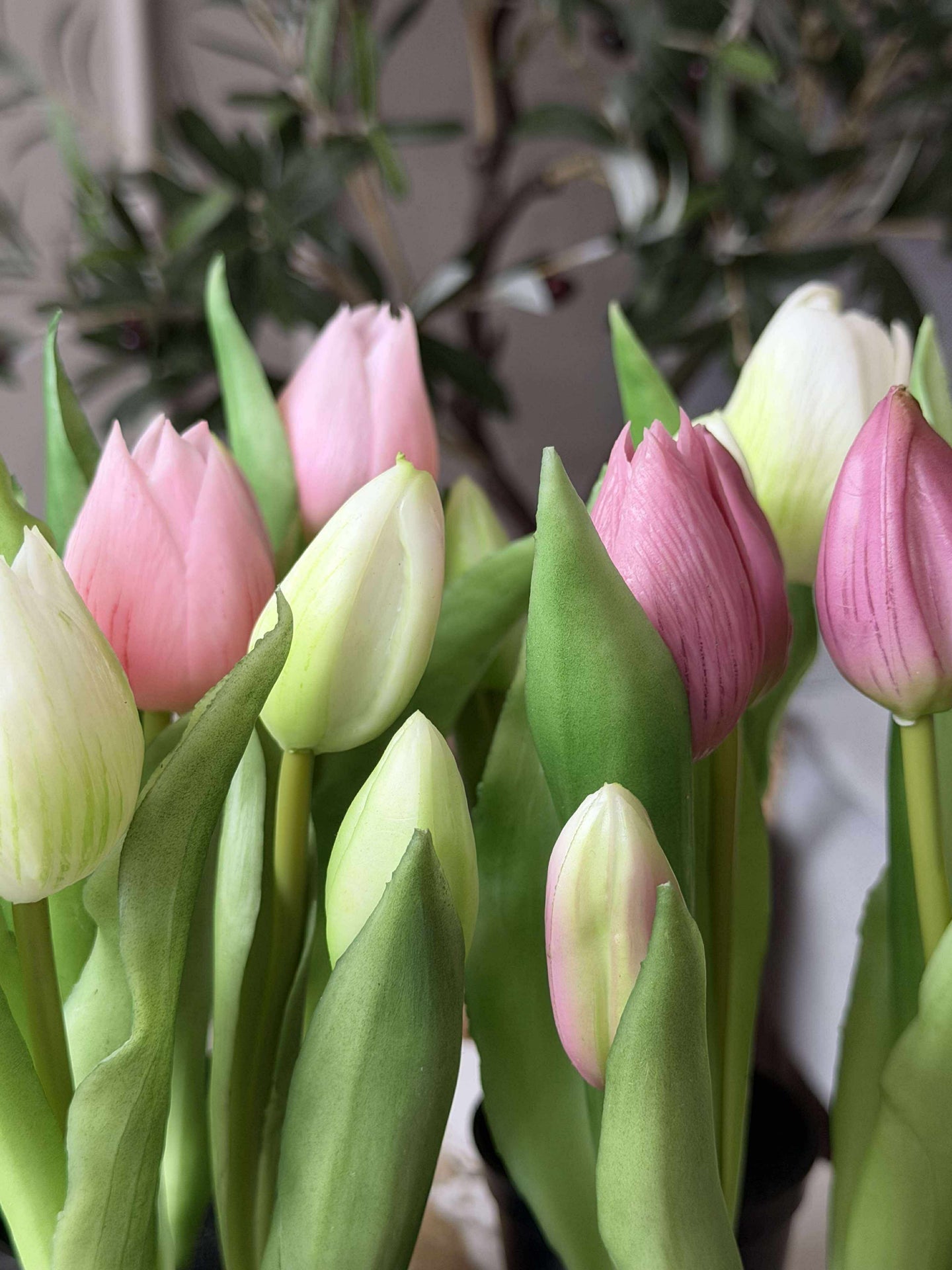 Tulpan i kruka - Vit med 3 blommor