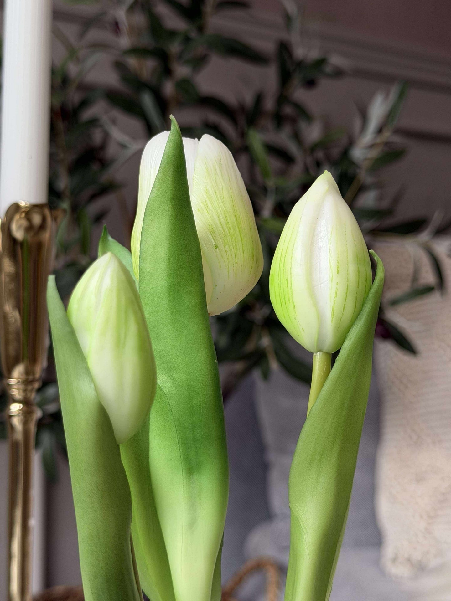 Tulpan i kruka - Vit med 3 blommor