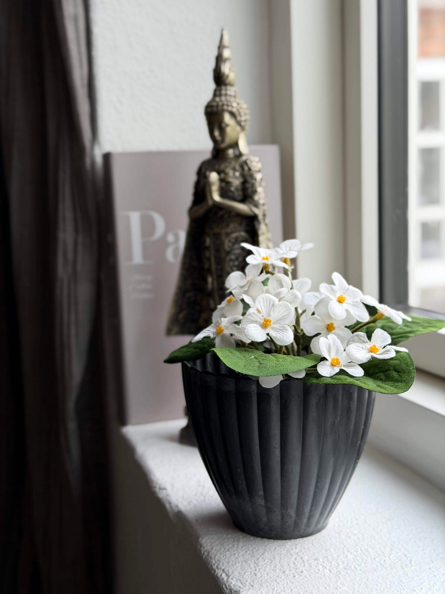 Saintpaulia i kruka - flera färger