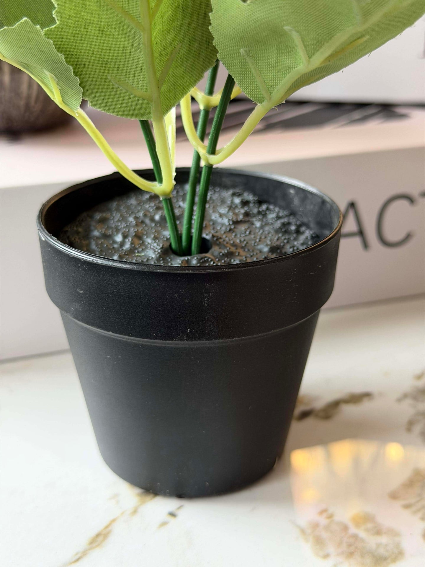 Mini hortensia i kruka - flera färger