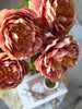 Blomma Pion Rosa