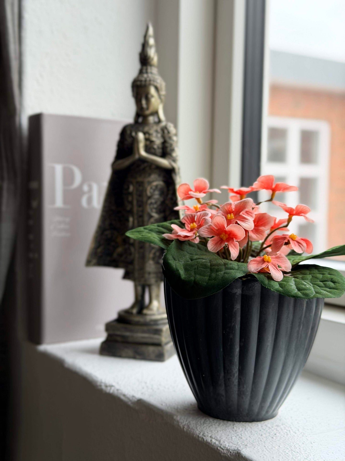 Saintpaulia i kruka - flera färger