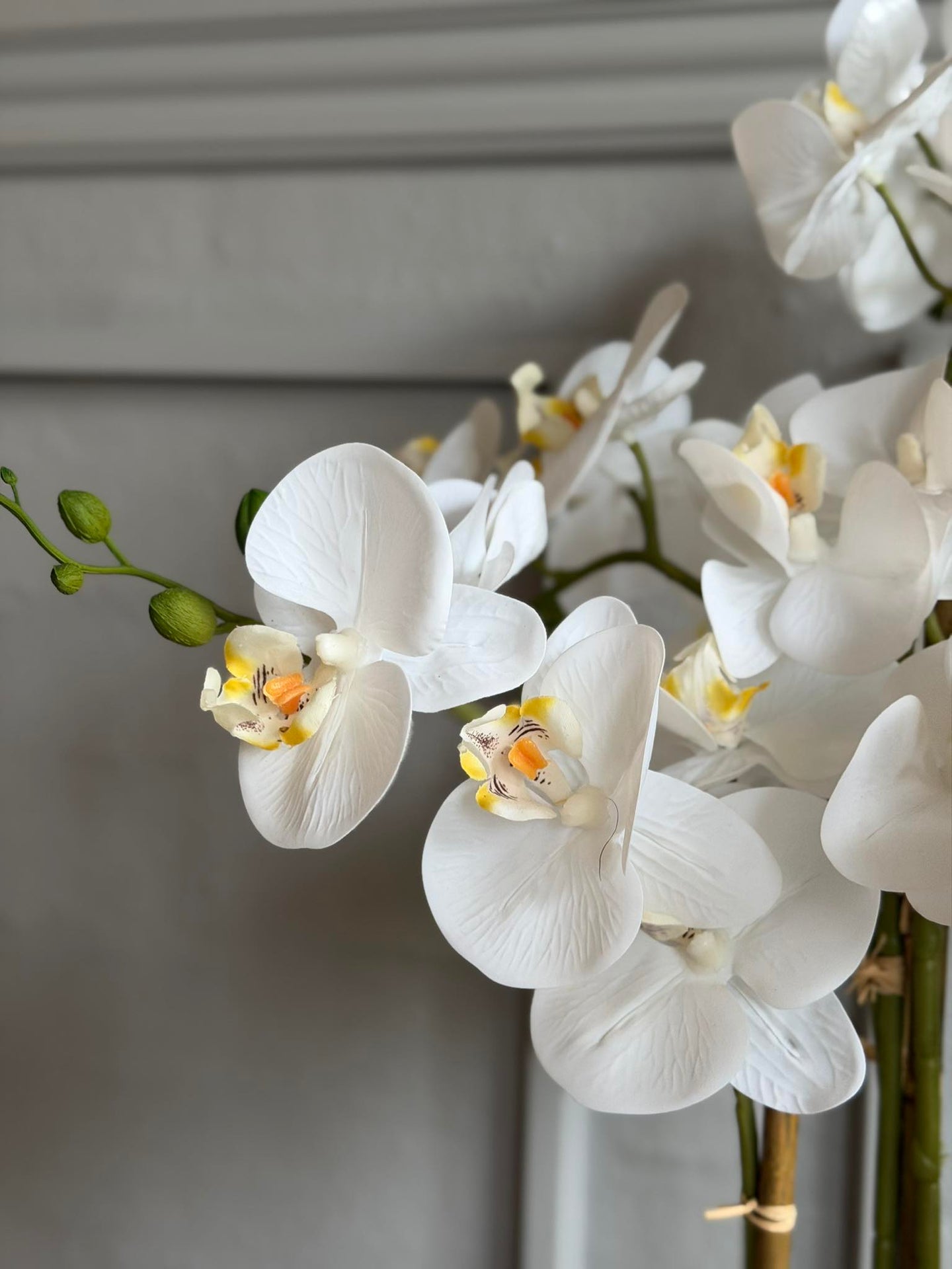Orkidé i Kruka 65 cm - Vit
