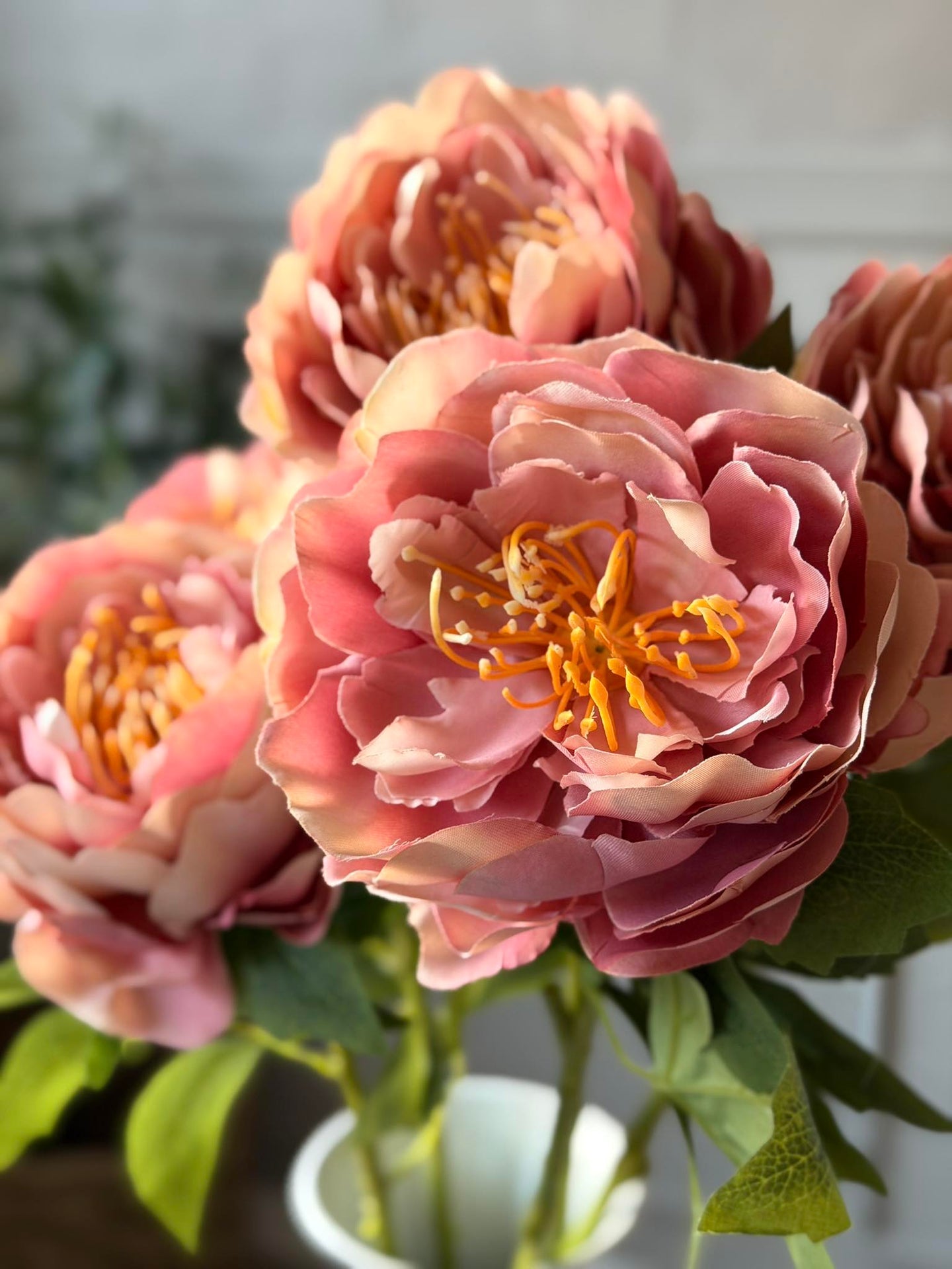 Blomma Pion Rosa