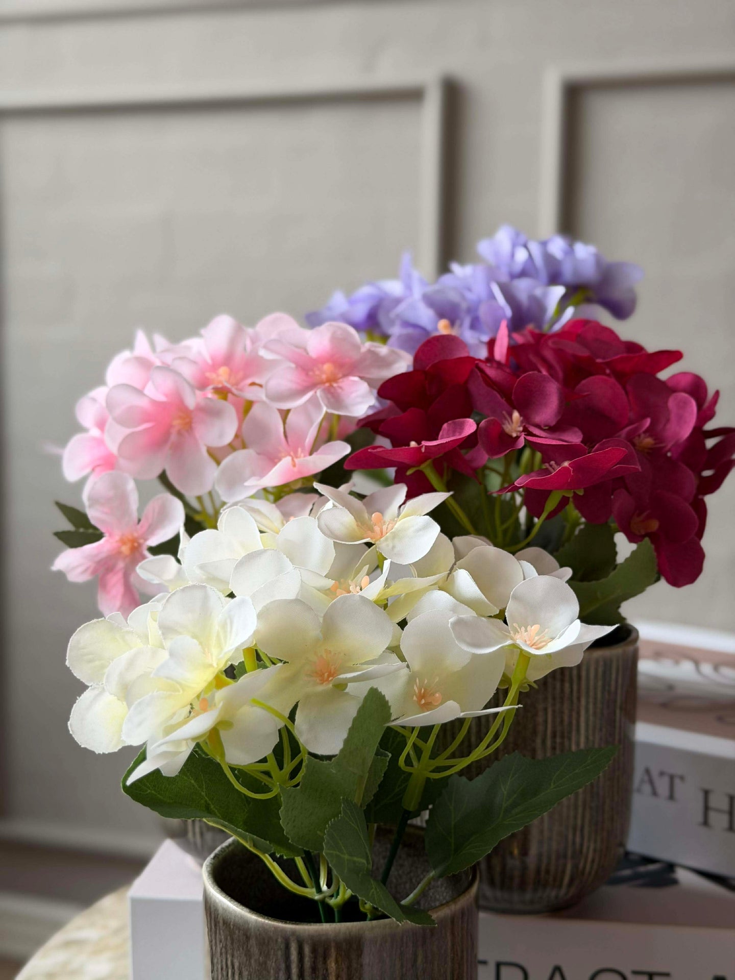 Mini hortensia i kruka - flera färger