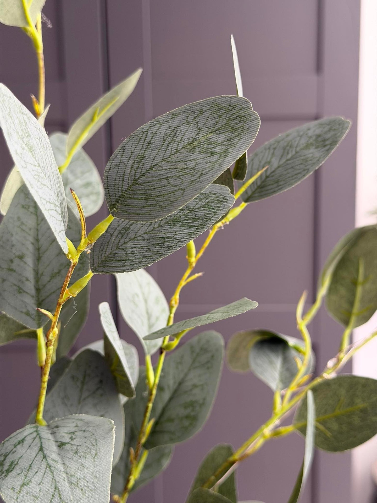 Eucalyptus gren med belysning - 100cm