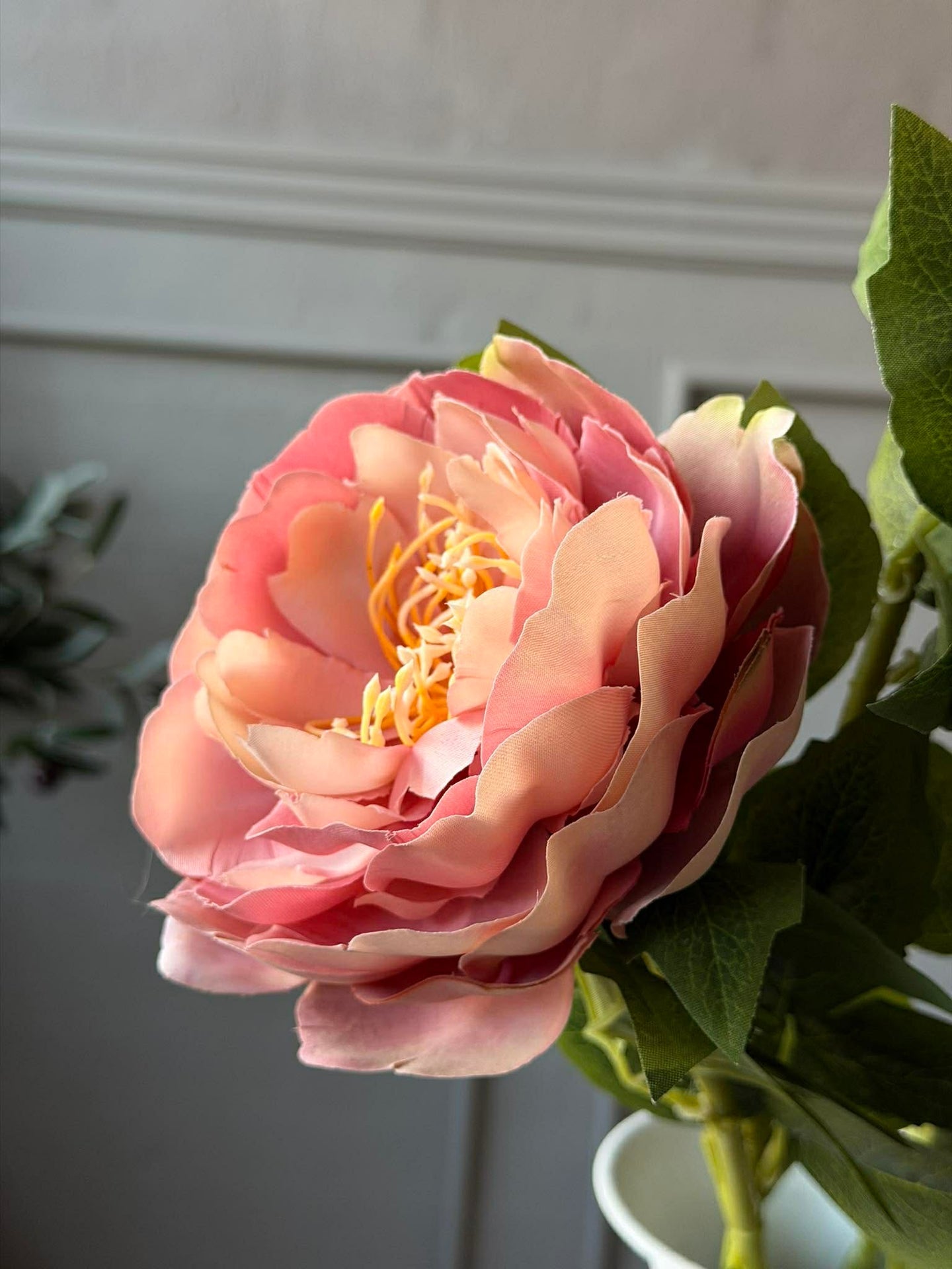 Blomma Pion Rosa