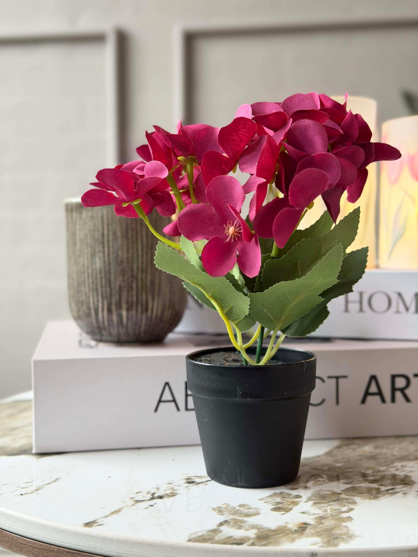 Mini hortensia i kruka - flera färger