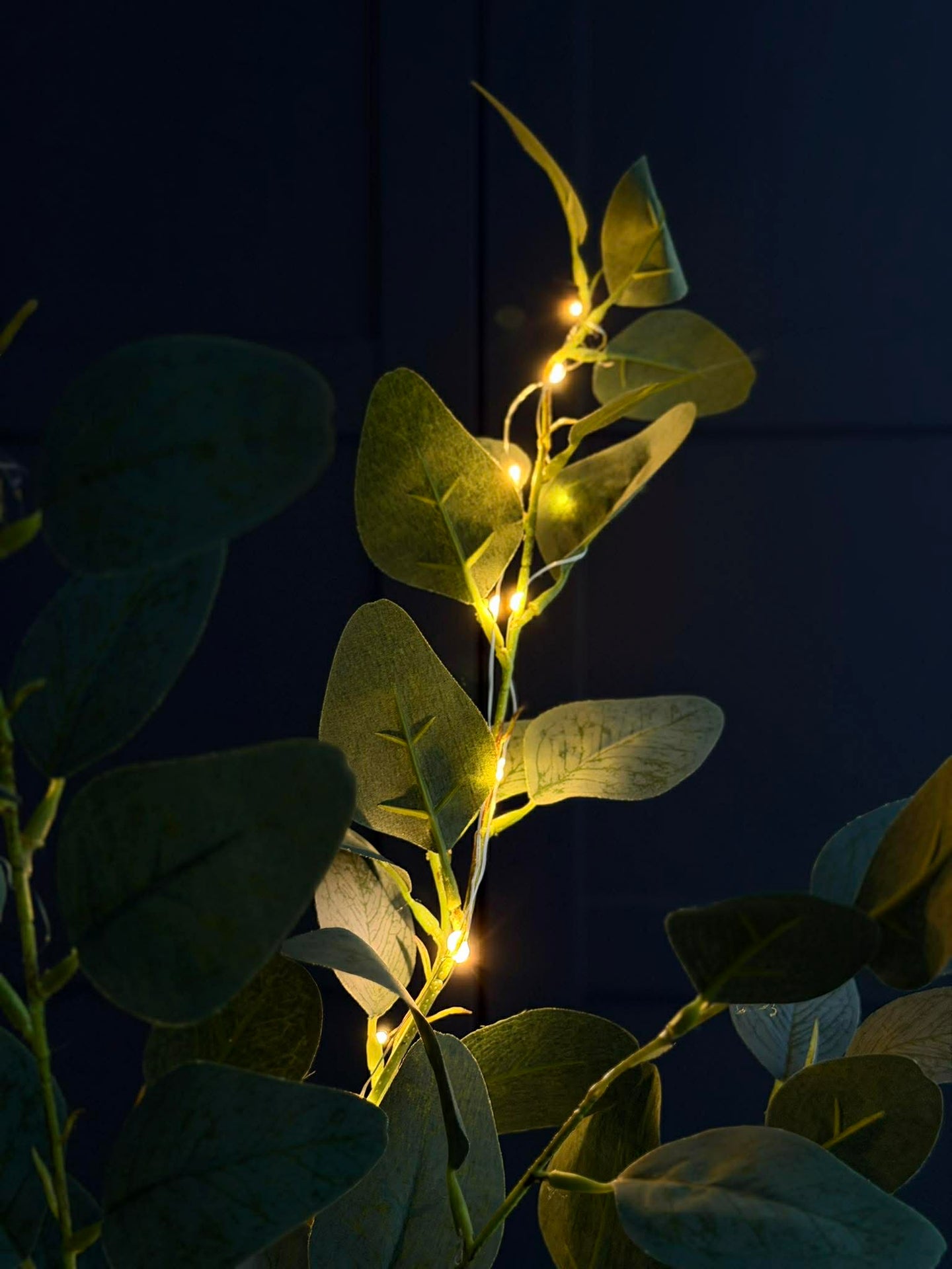 Eucalyptus gren med belysning - 100cm