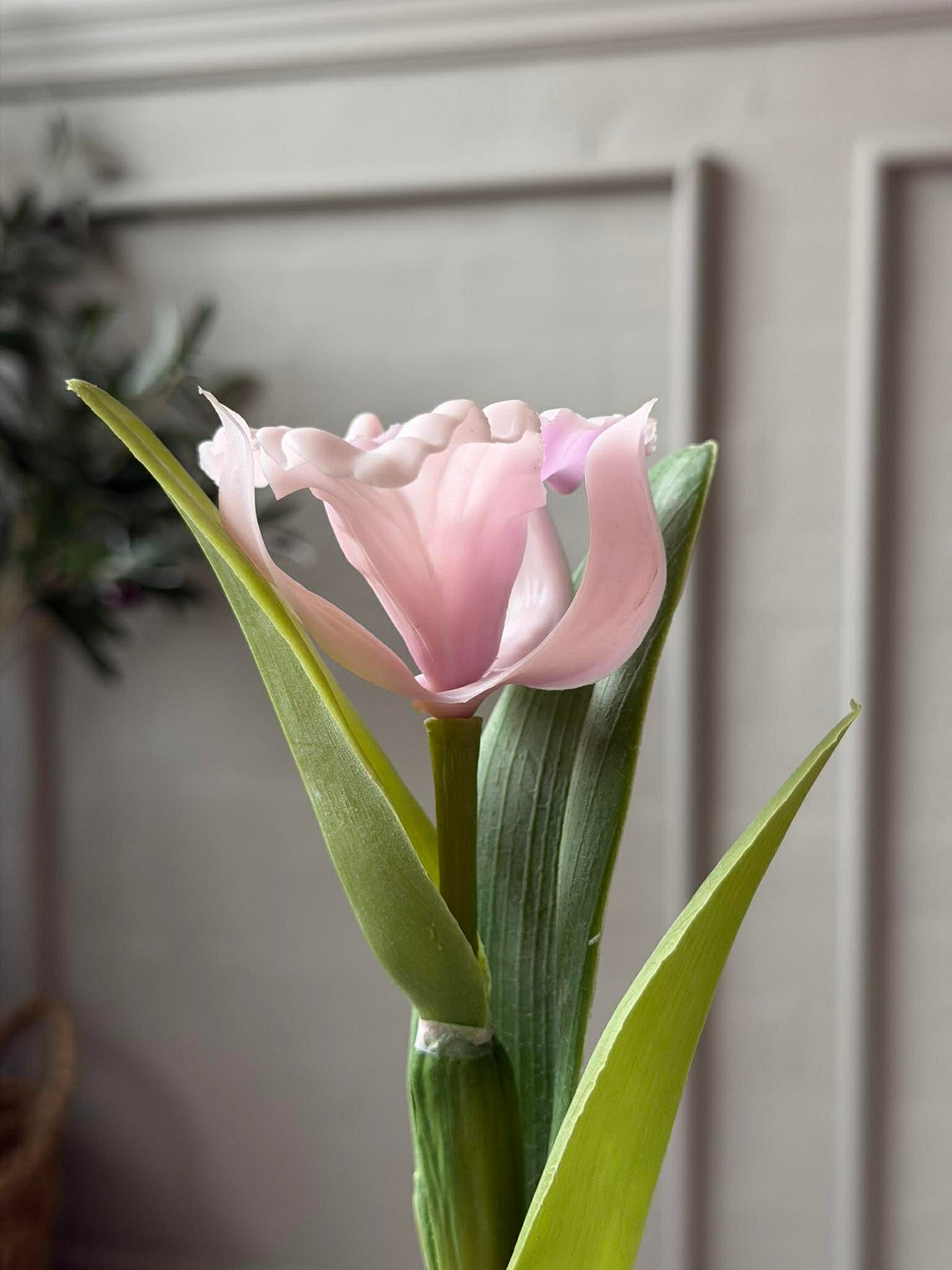Orkidé i kruka Rosa - Flera storlekar
