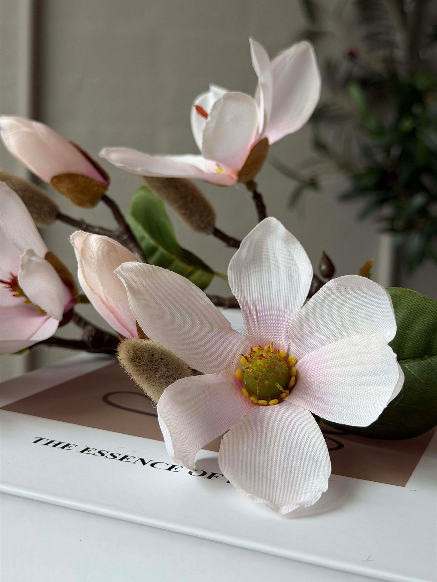 Magnoliagren - Rosa 52cm