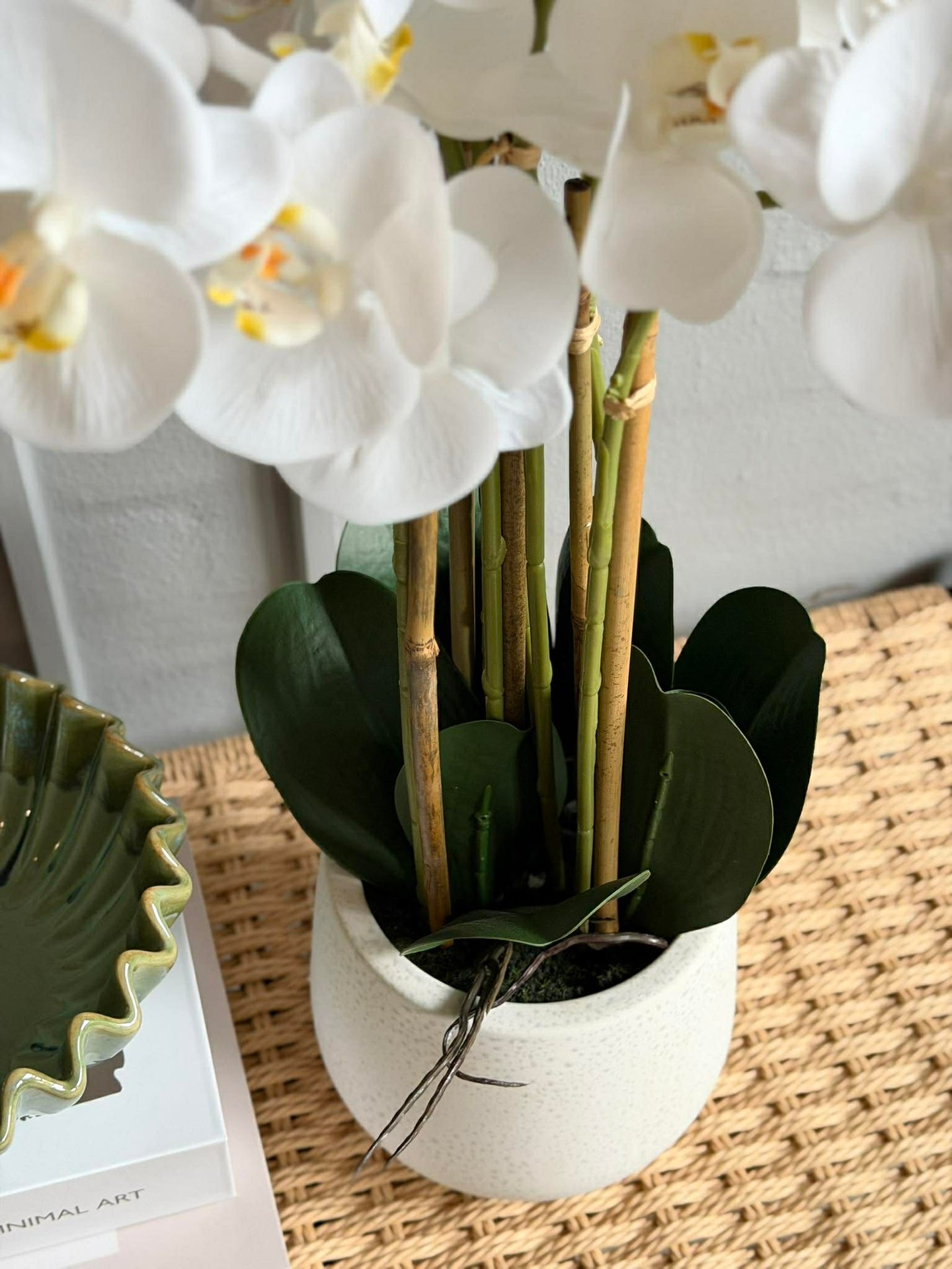 Orkidé i Kruka 65 cm - Vit