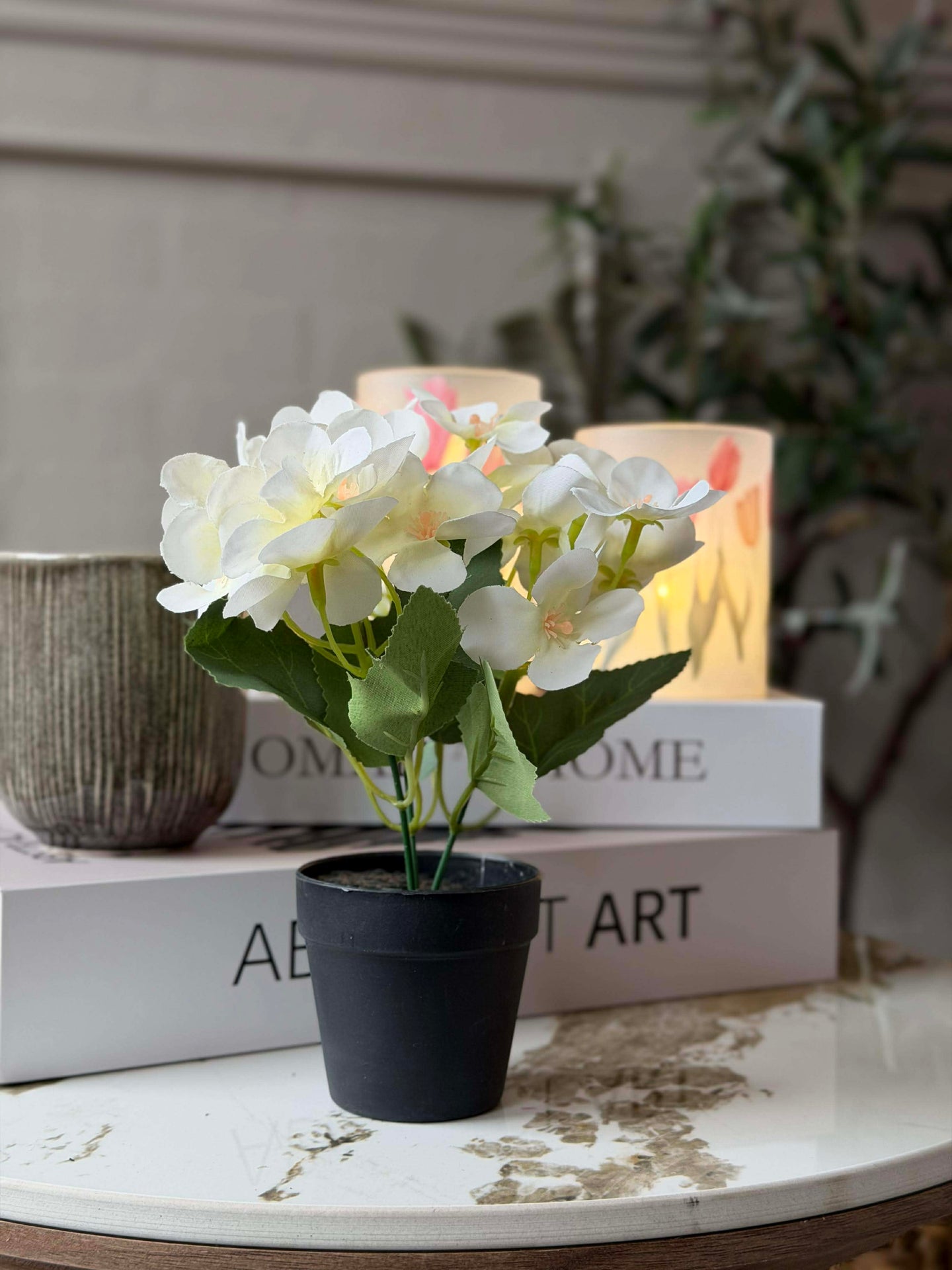 Mini hortensia i kruka - flera färger