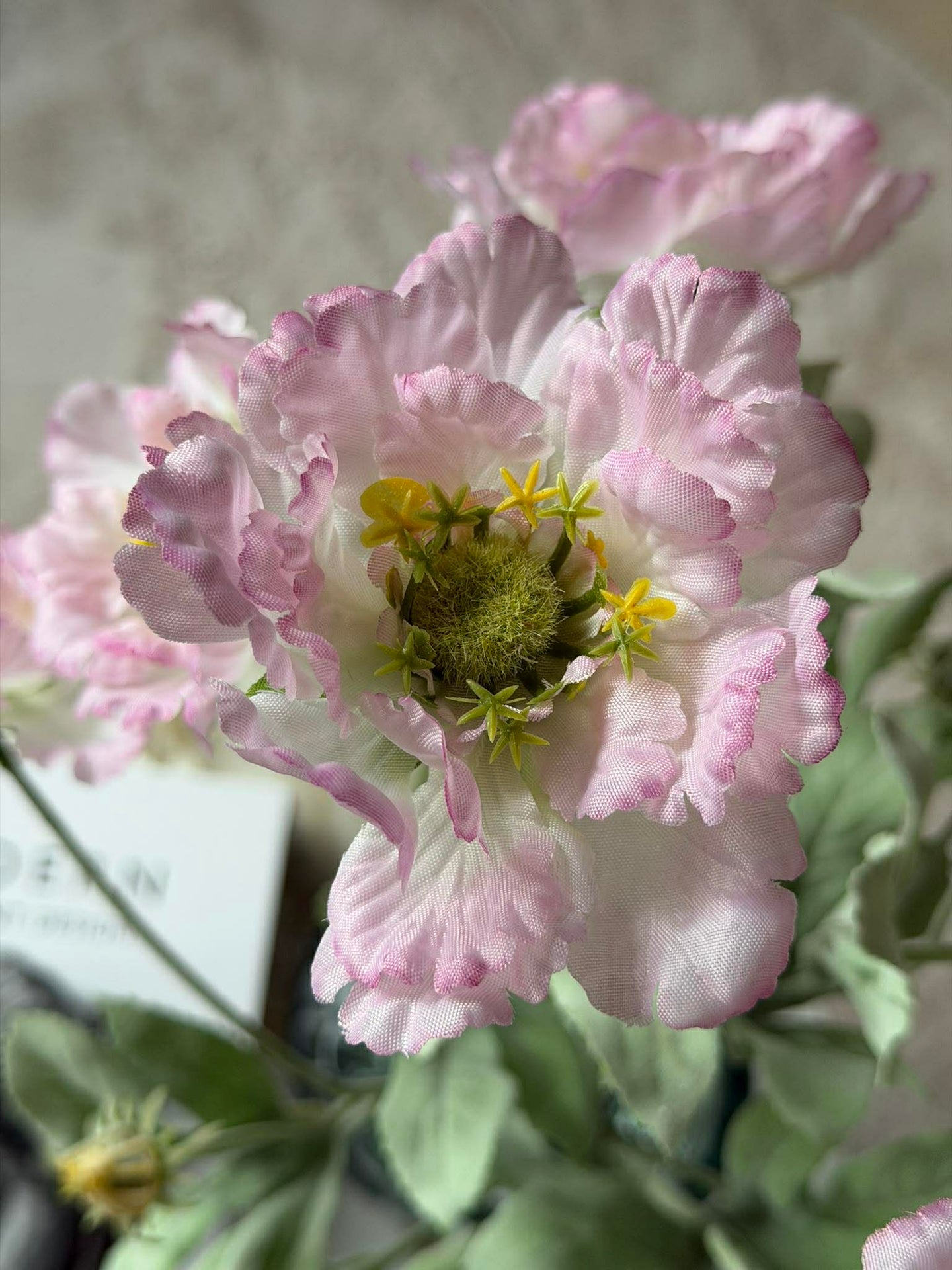 Vallmostjälk 62 cm - Rosa