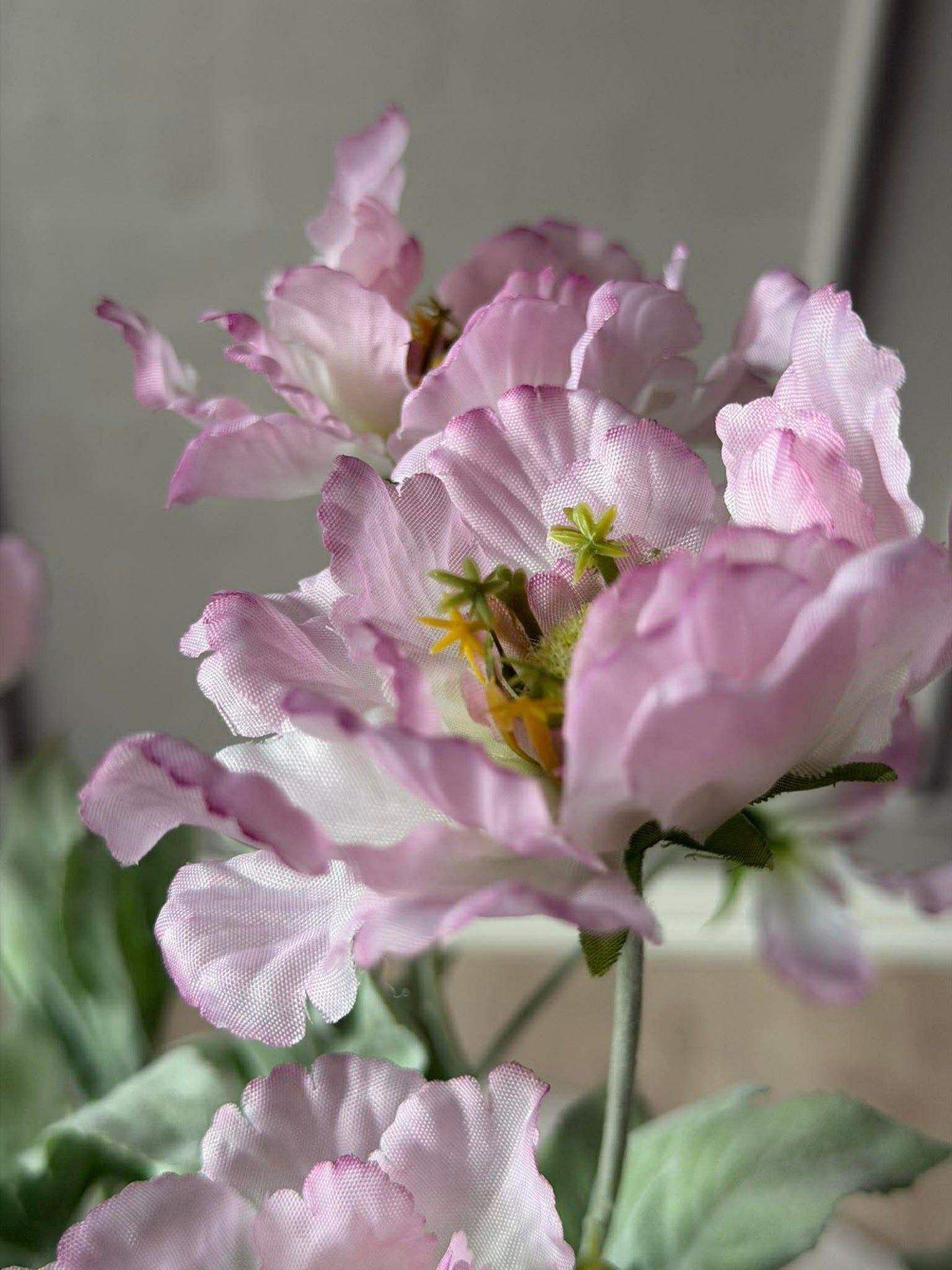 Vallmostjälk 62 cm - Rosa