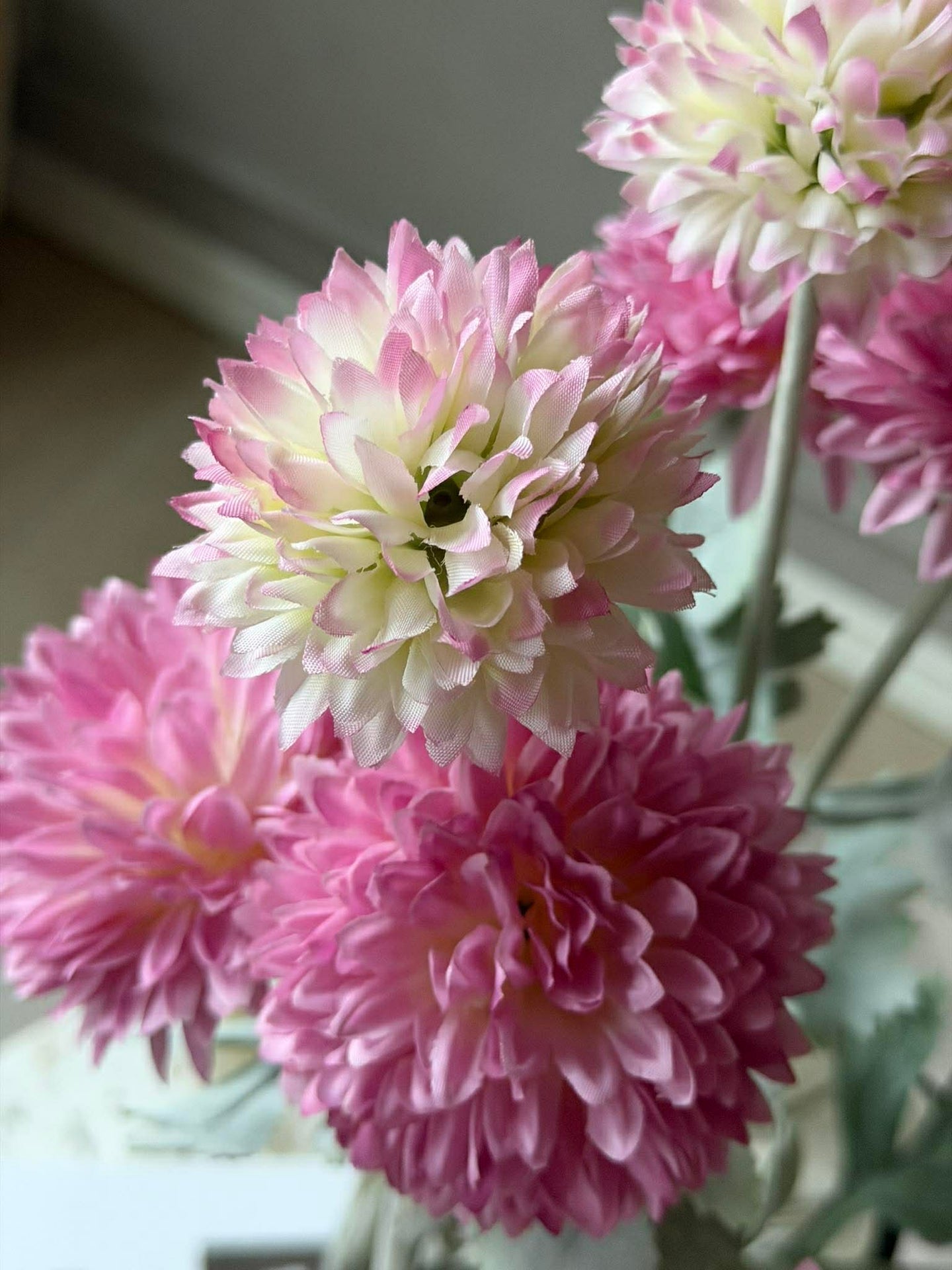 Prydlökstjälk 60 cm - Rosa