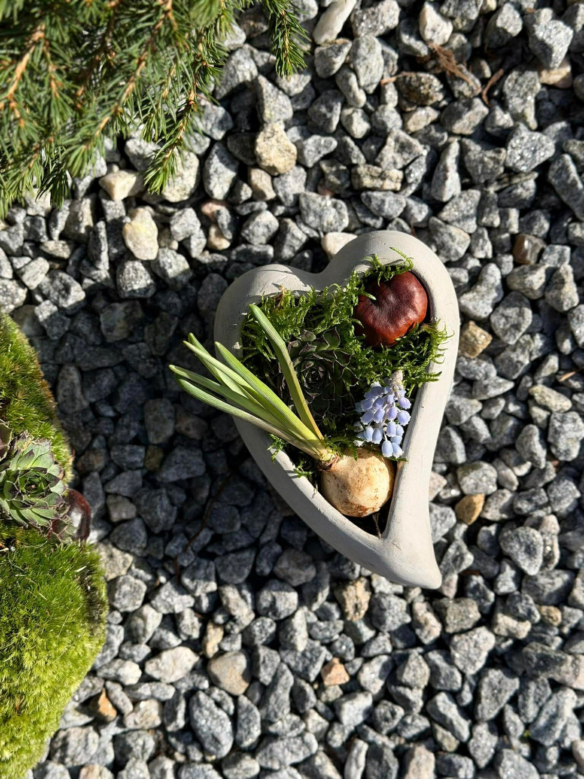 Hjerte  - Flere størrelser