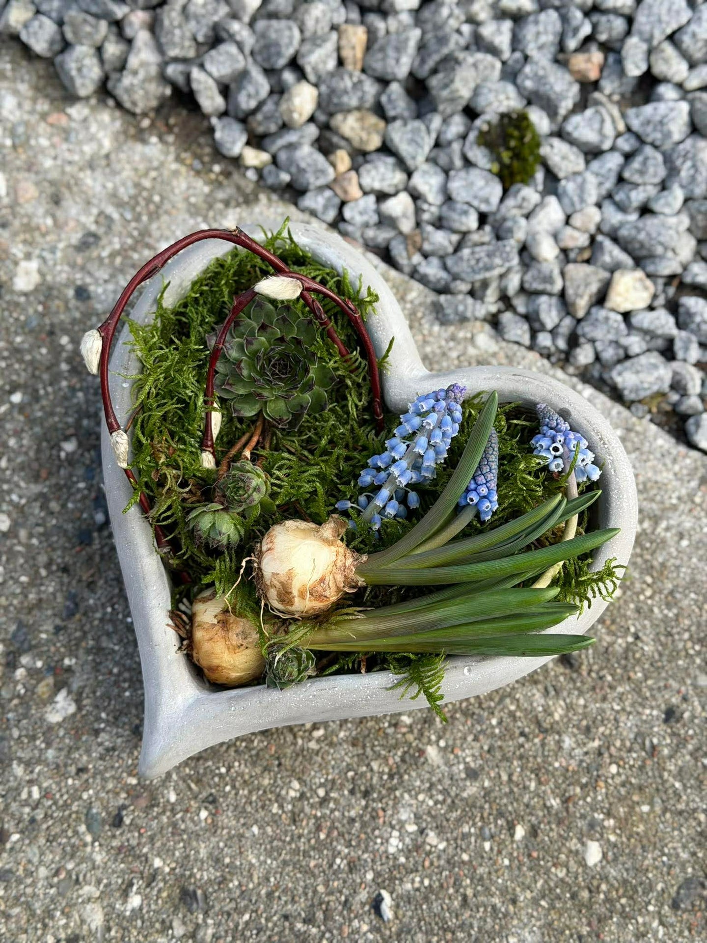 Hjärta för plantering