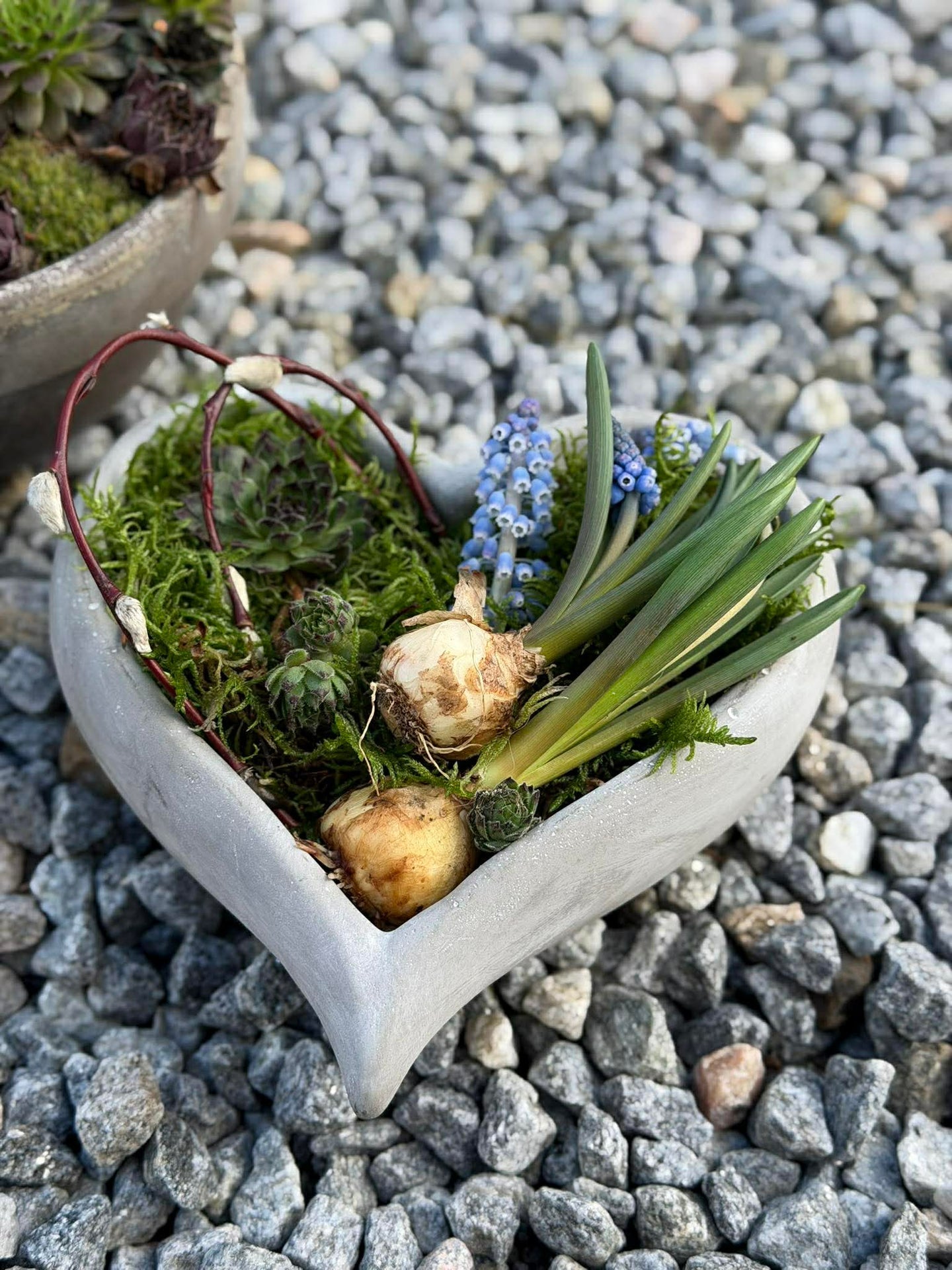 Hjärta för plantering