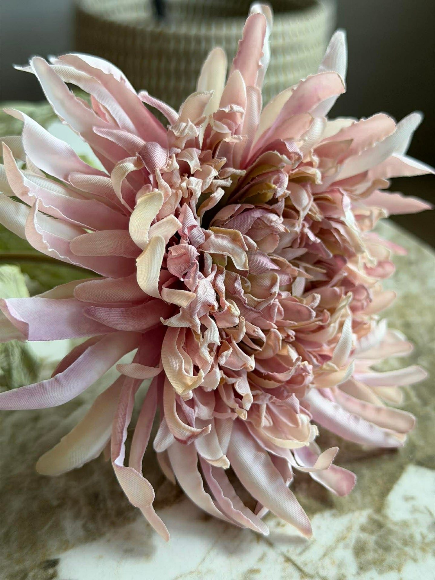 Krysantemumstjälk 17 cm - Rosa