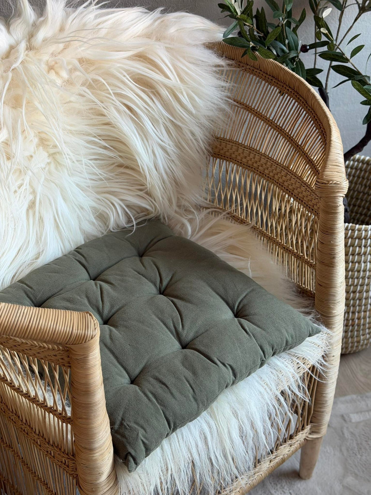 Futon-dyna – Salvia