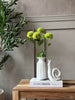 Blomstjälk med flera blommor - Lime