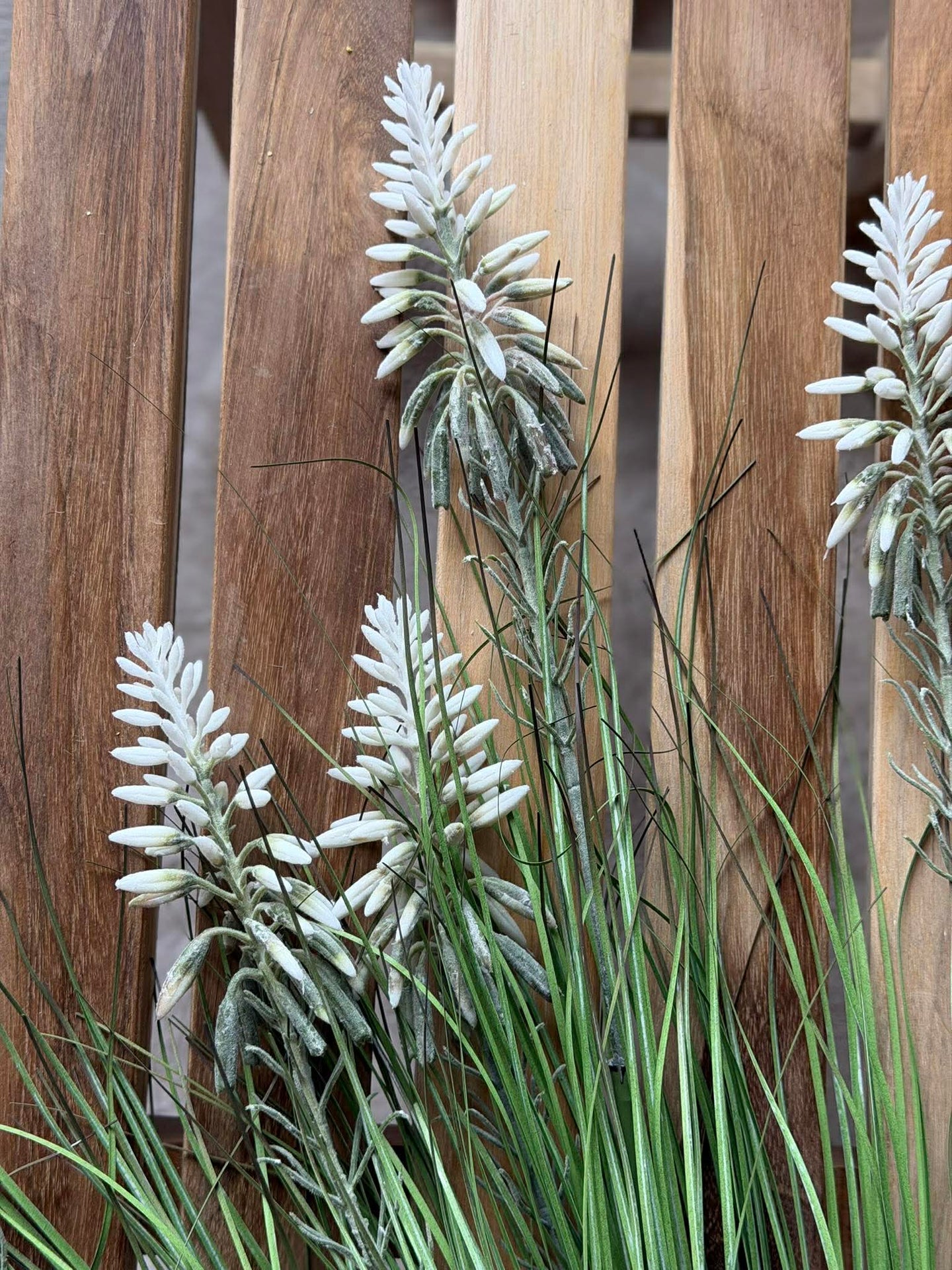 Lupin Vit i bukett för inomhus och utomhus - 70 cm