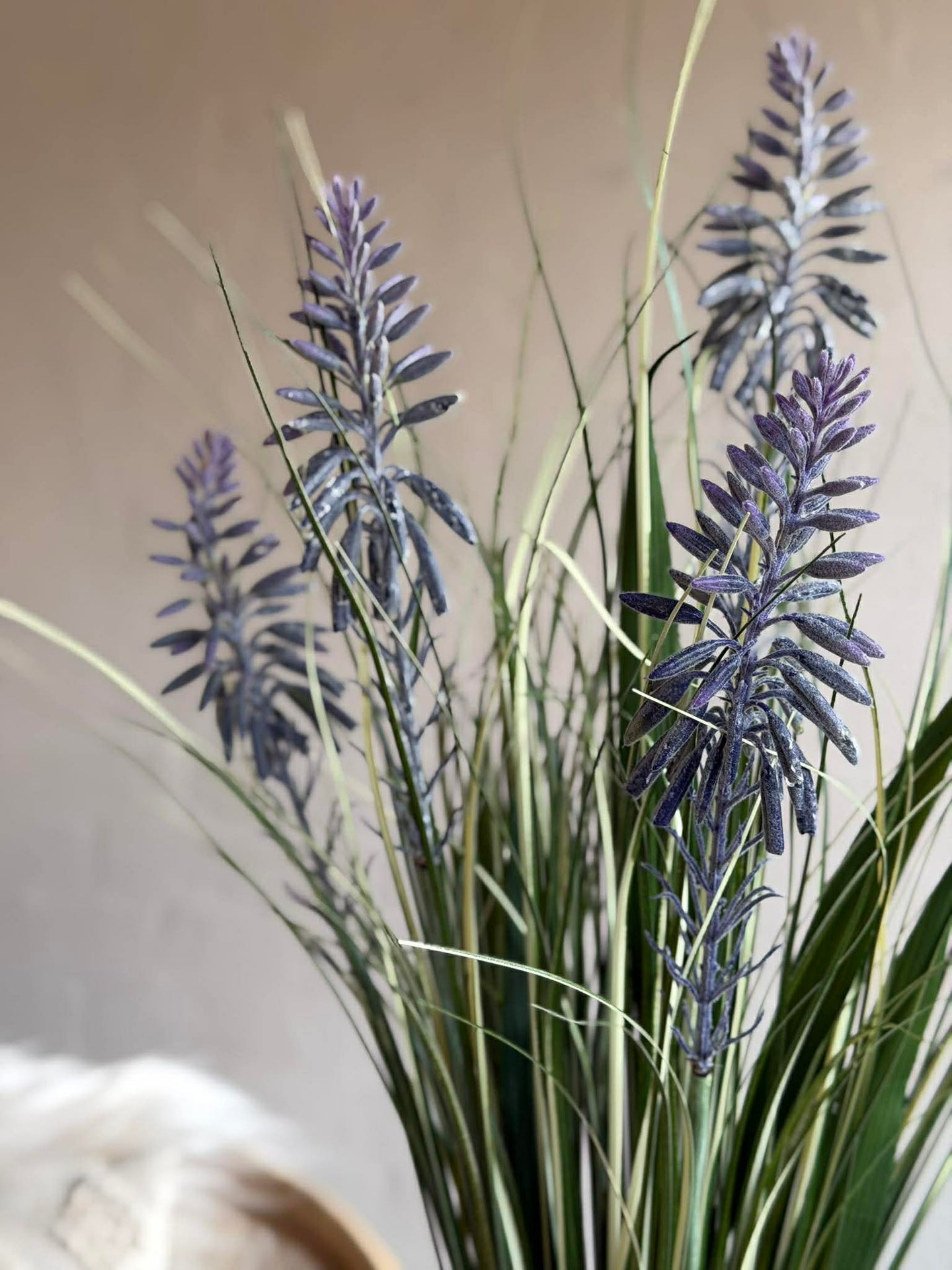 Lupin i bukett för inomhus och utomhus - 70 cm