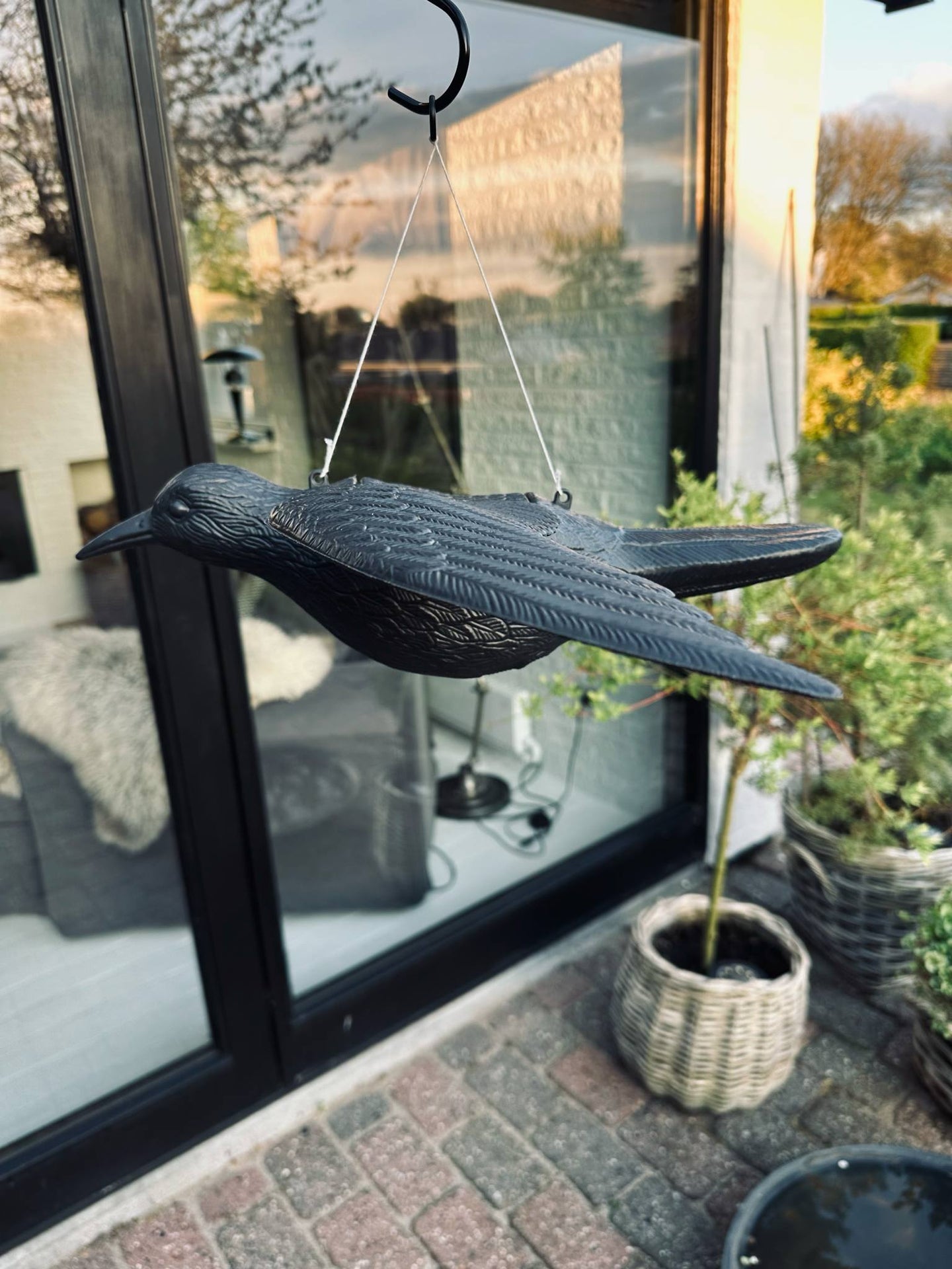 Fågel - RAVEN BLACK