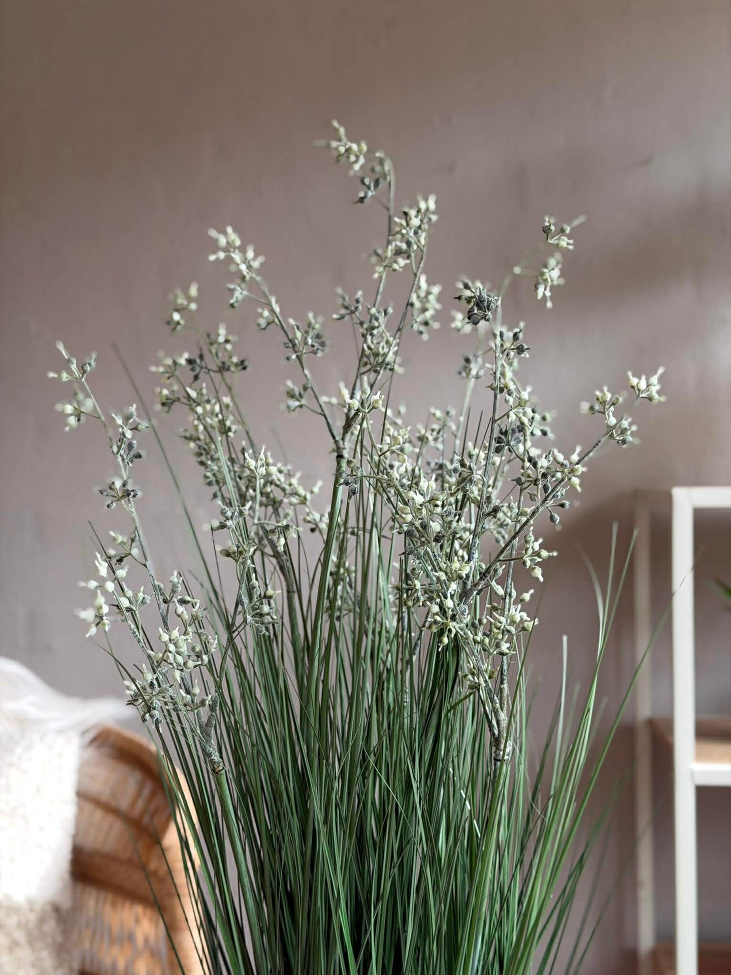 Jasmin i kruka för inomhus och utomhus - 78 cm