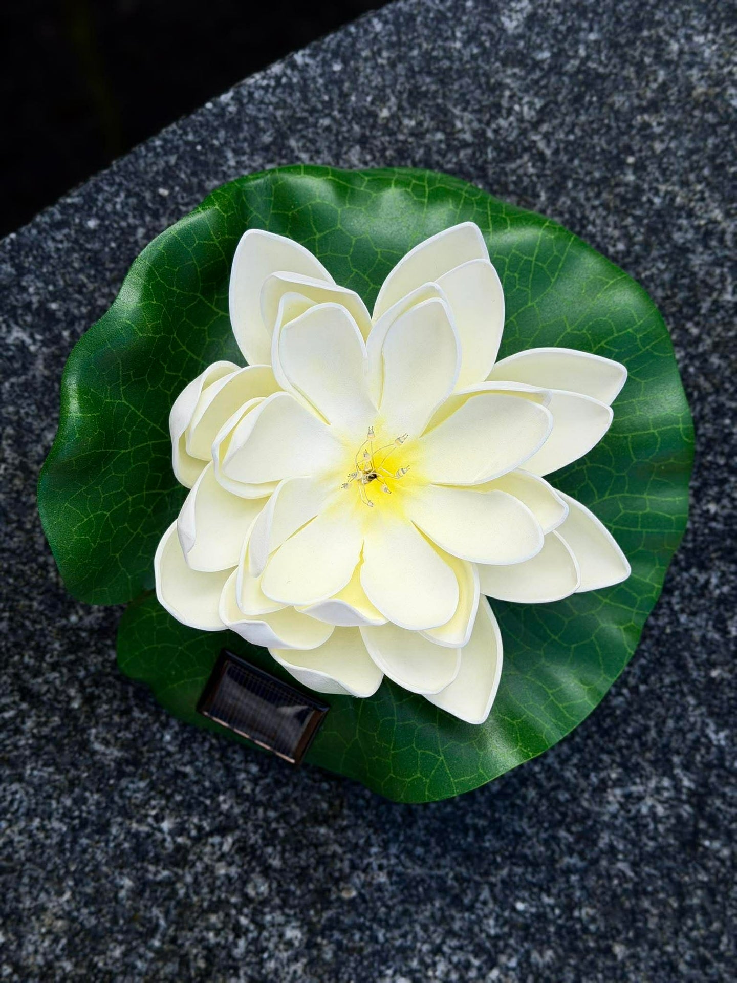 Solcell LOTUS – Vit