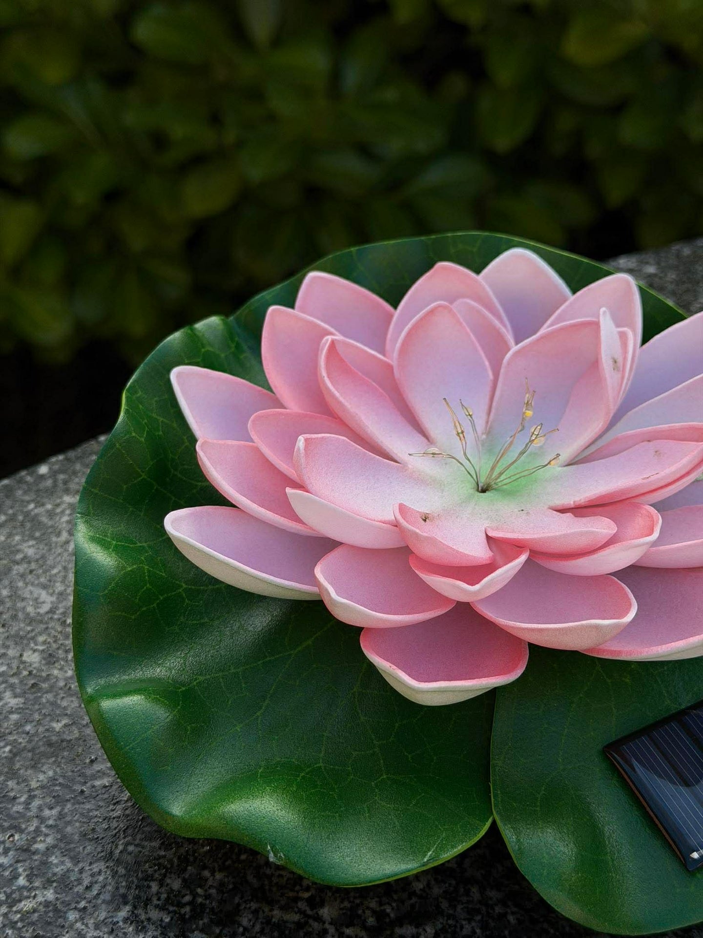 Solcell LOTUS – Rosa