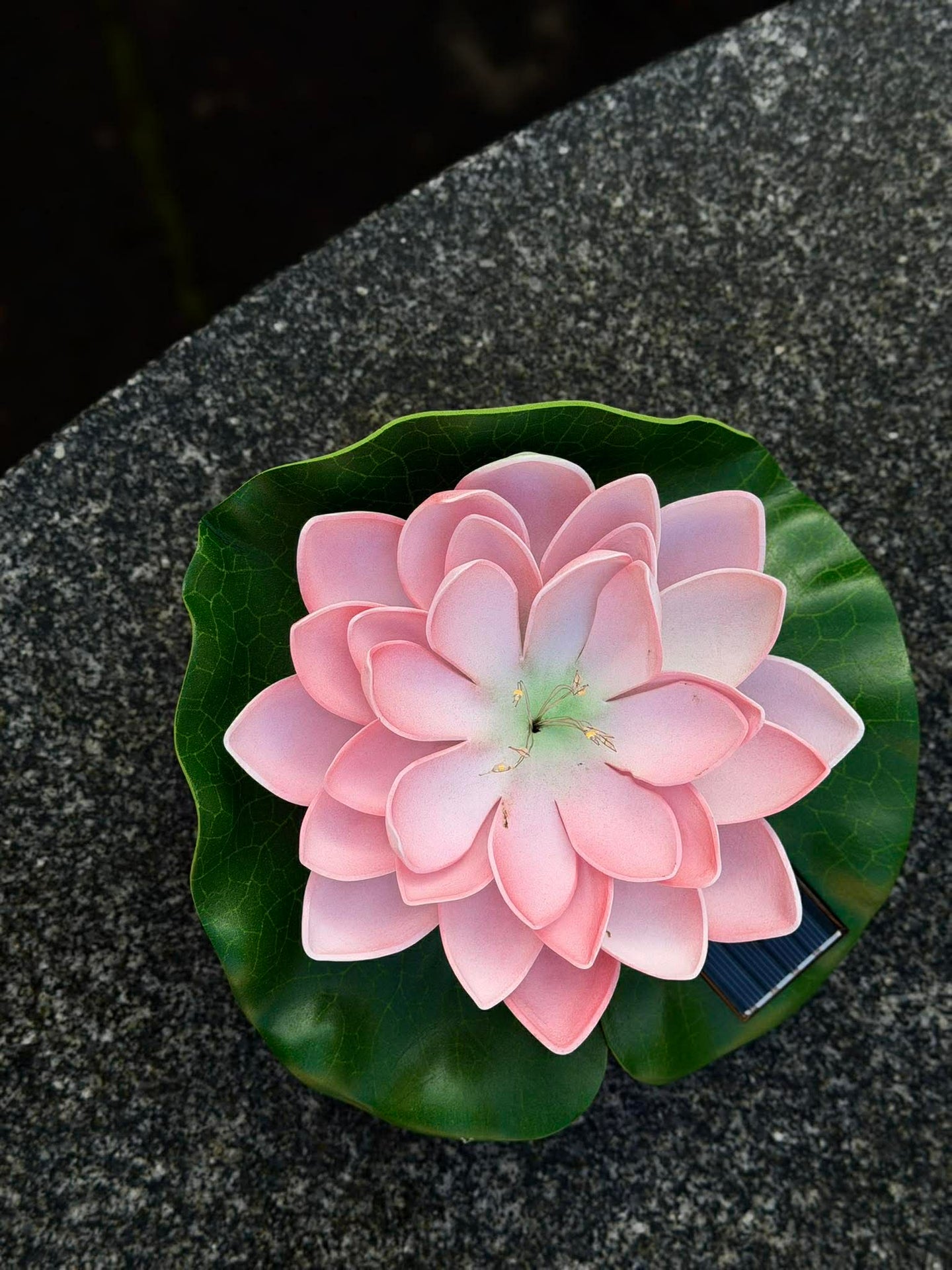 Solcell LOTUS – Rosa