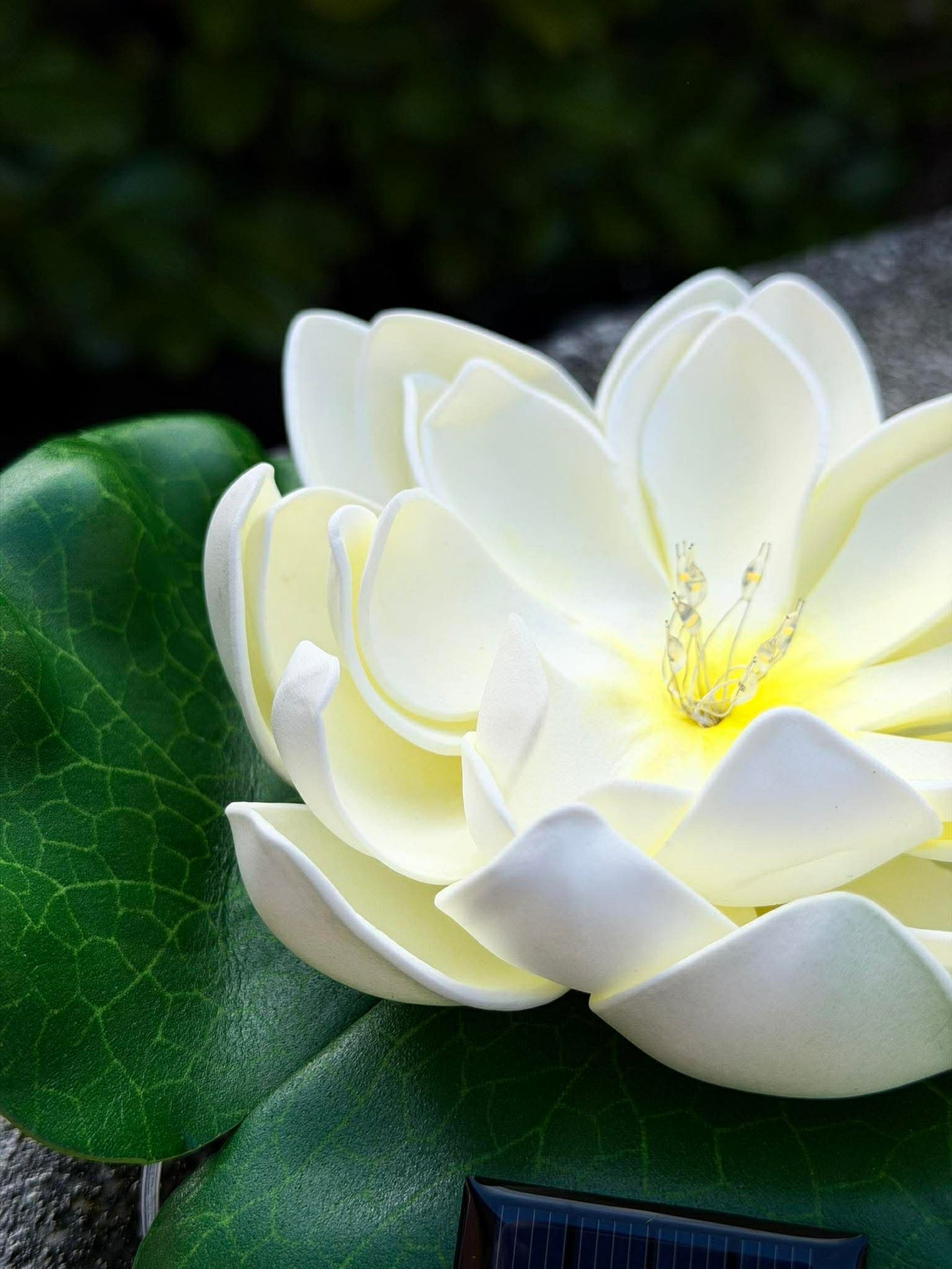 Solcell LOTUS – Vit