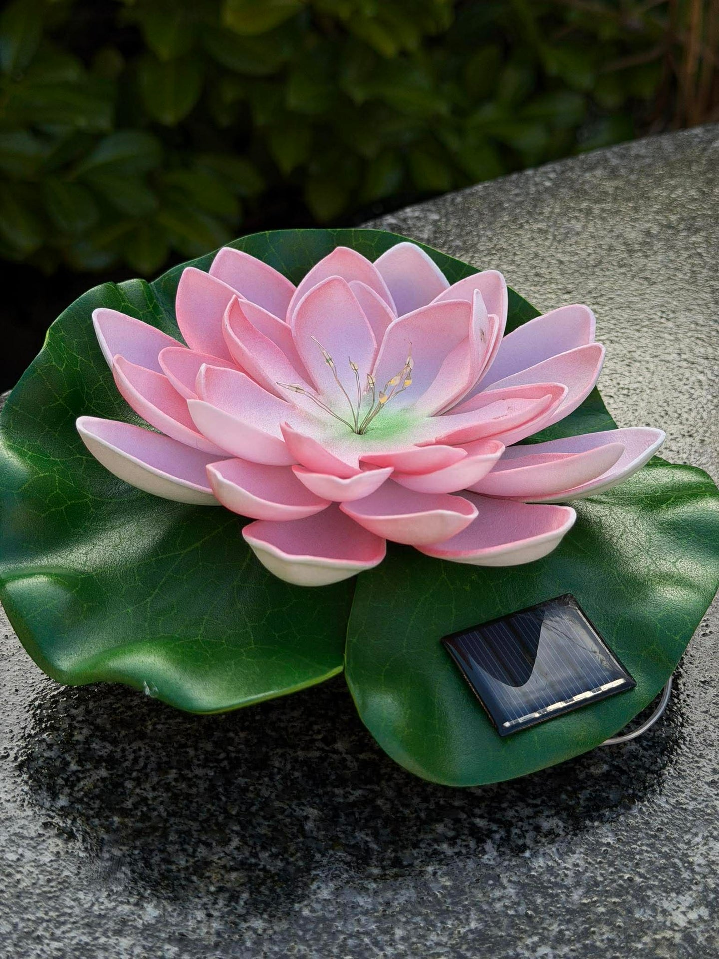 Solcell LOTUS – Rosa