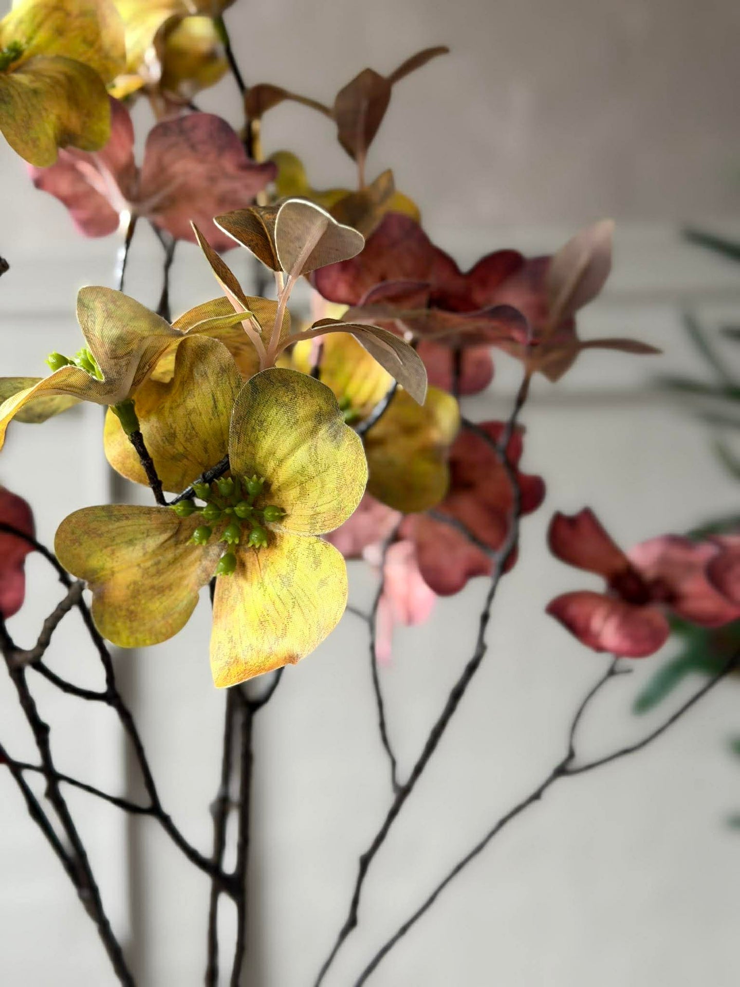 Blomgren 78 cm - Flera färger