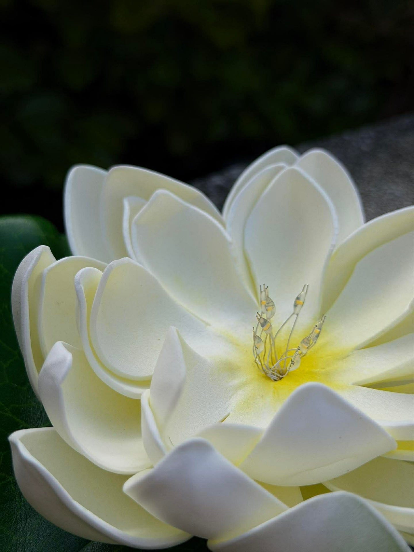 Solcell LOTUS – Vit
